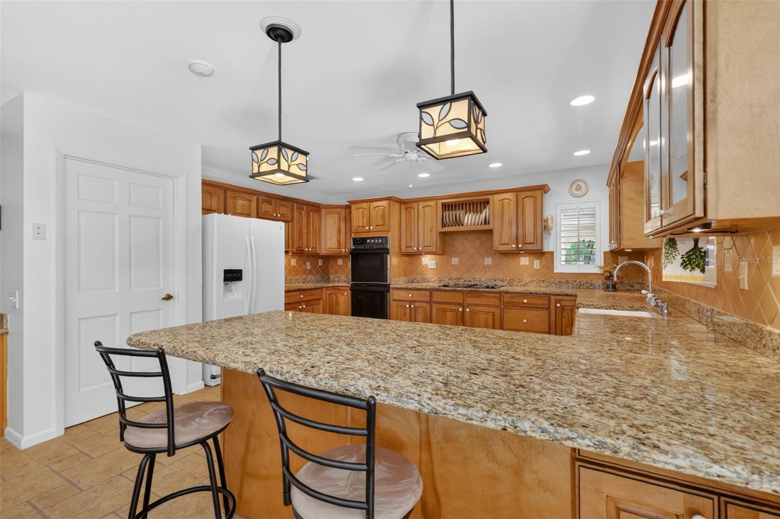 1109 ELYSIUM BLVD, MOUNT DORA, FL, 32757