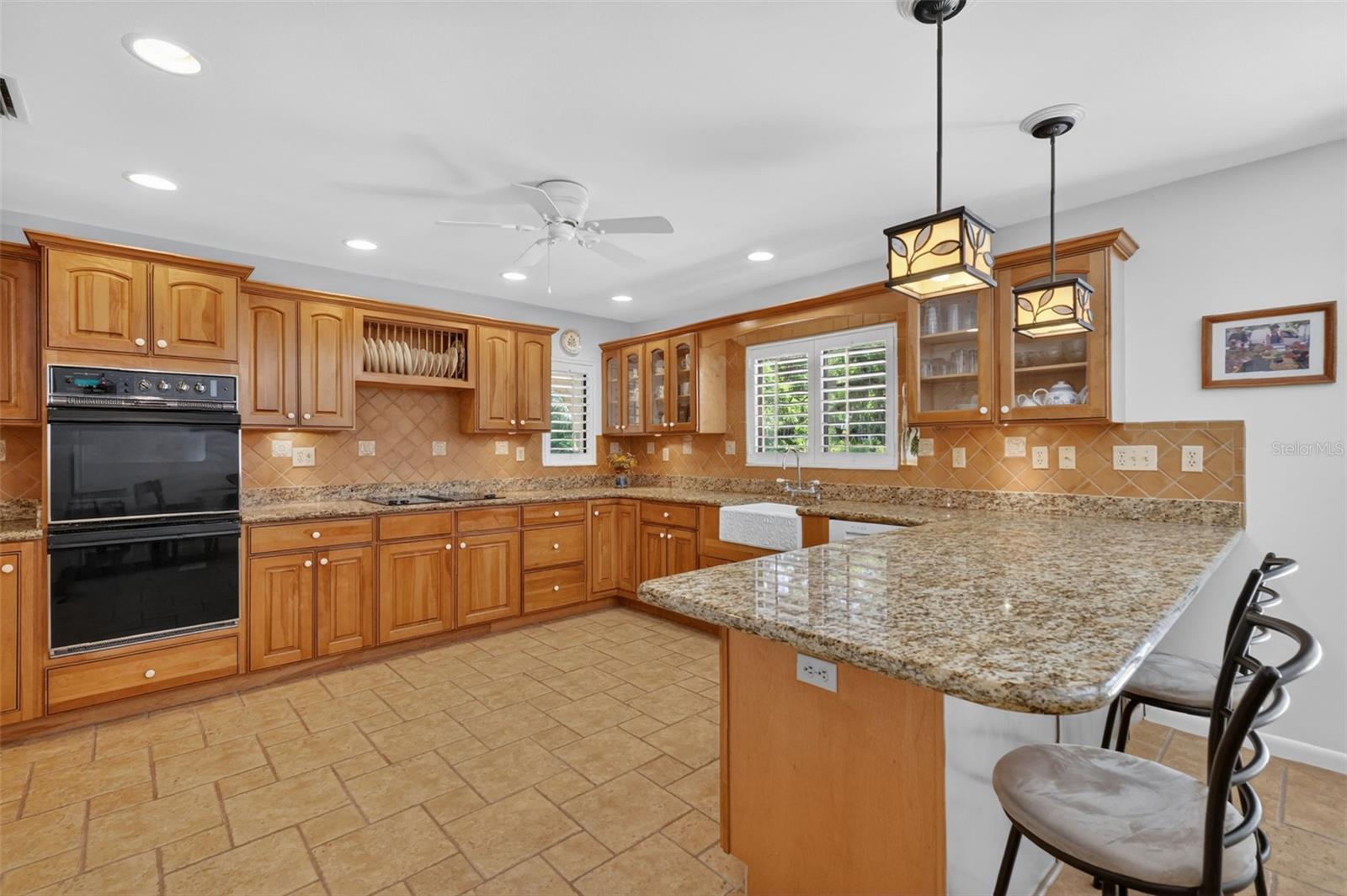 1109 ELYSIUM BLVD, MOUNT DORA, FL, 32757