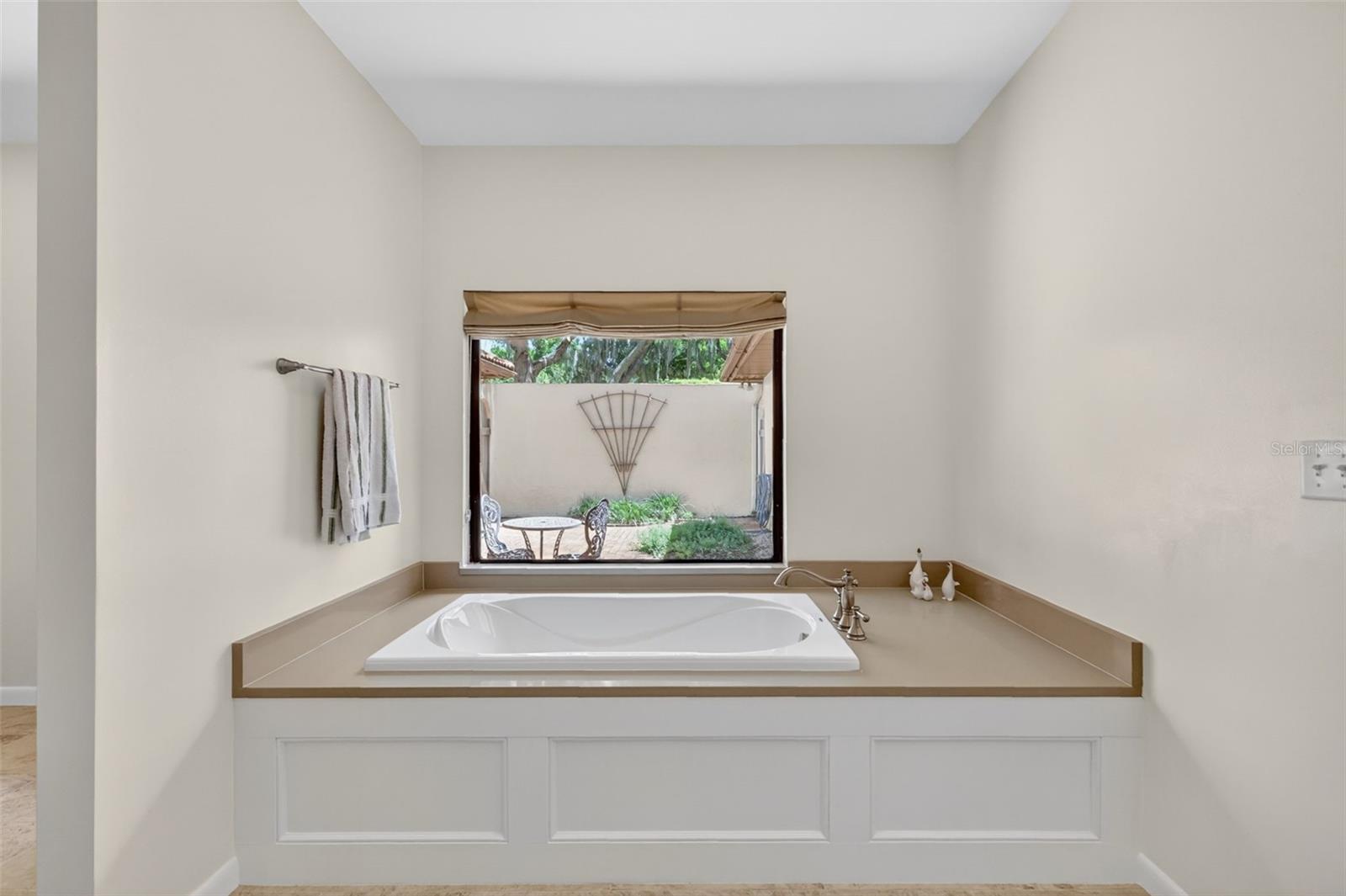 1109 ELYSIUM BLVD, MOUNT DORA, FL, 32757