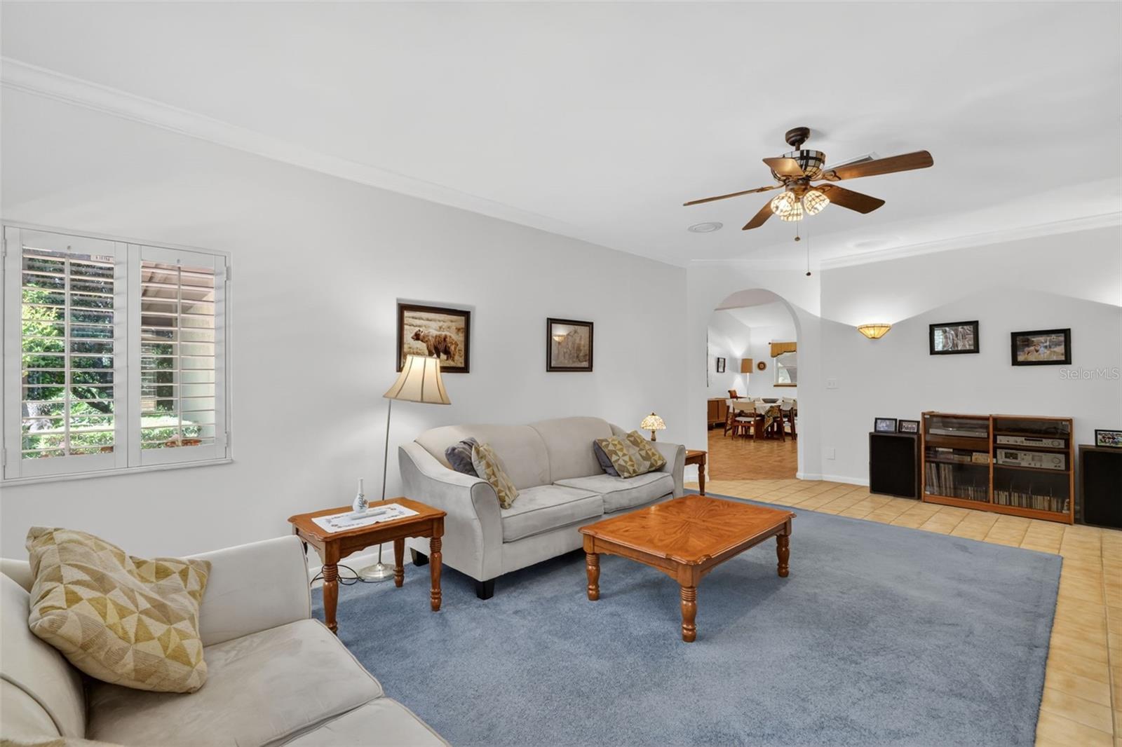 1109 ELYSIUM BLVD, MOUNT DORA, FL, 32757