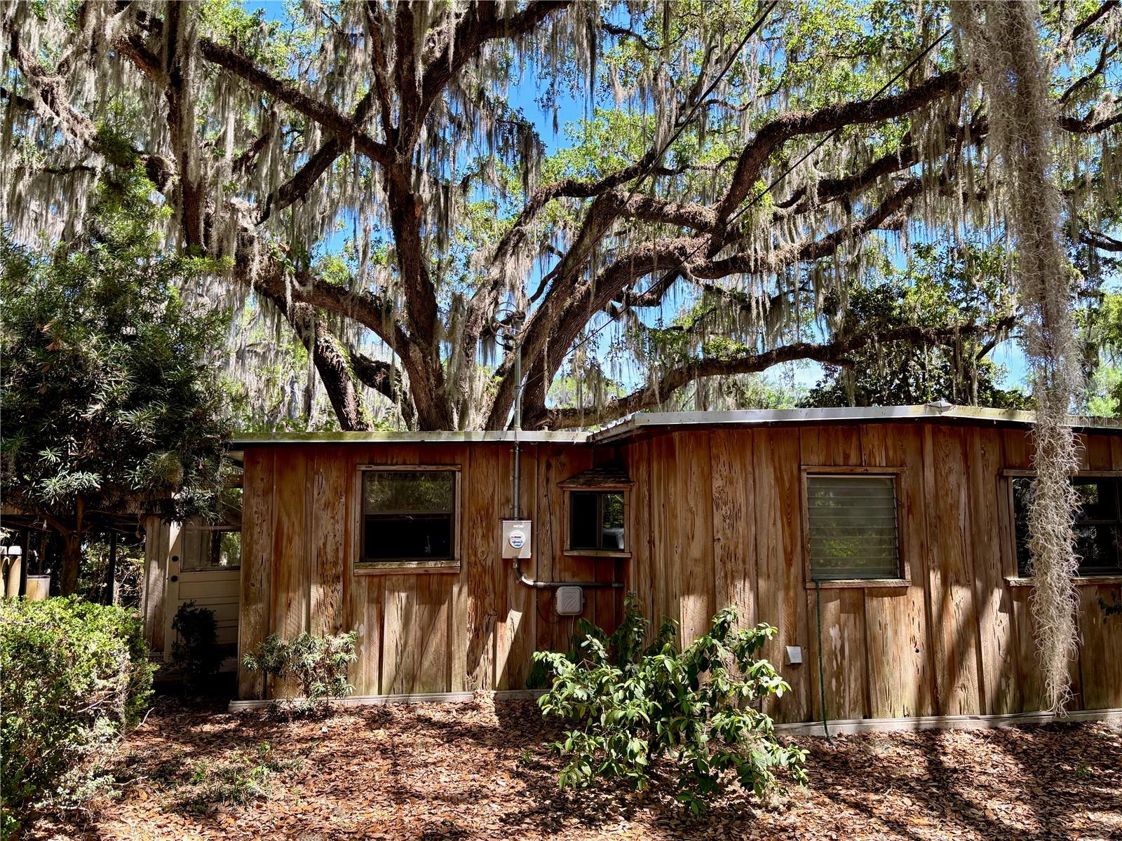 7305 NE 222ND ST, MELROSE, FL, 32666