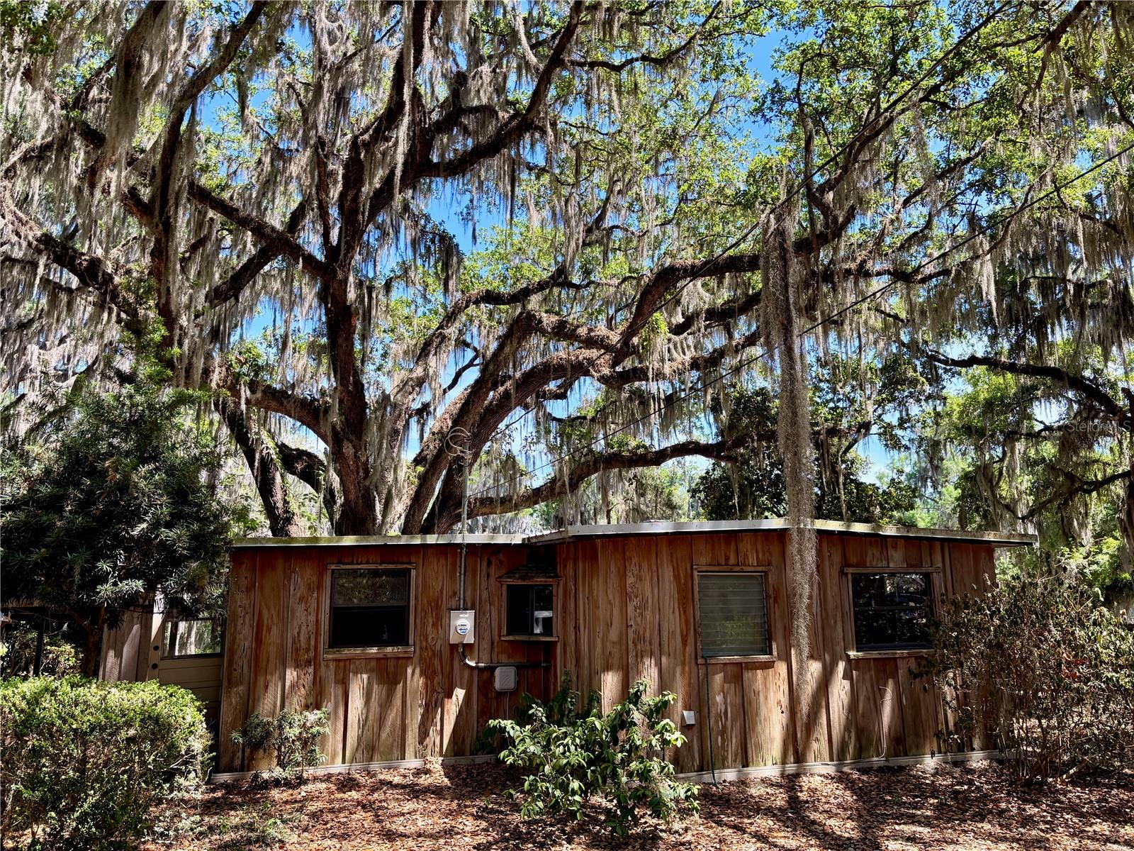 7305 NE 222ND ST, MELROSE, FL, 32666