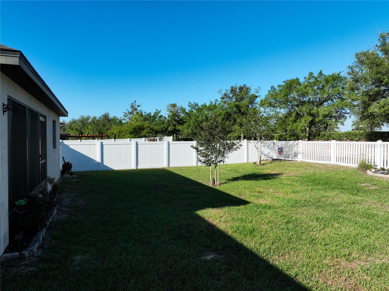 817 LAUREL VIEW WAY, GROVELAND, FL, 34736