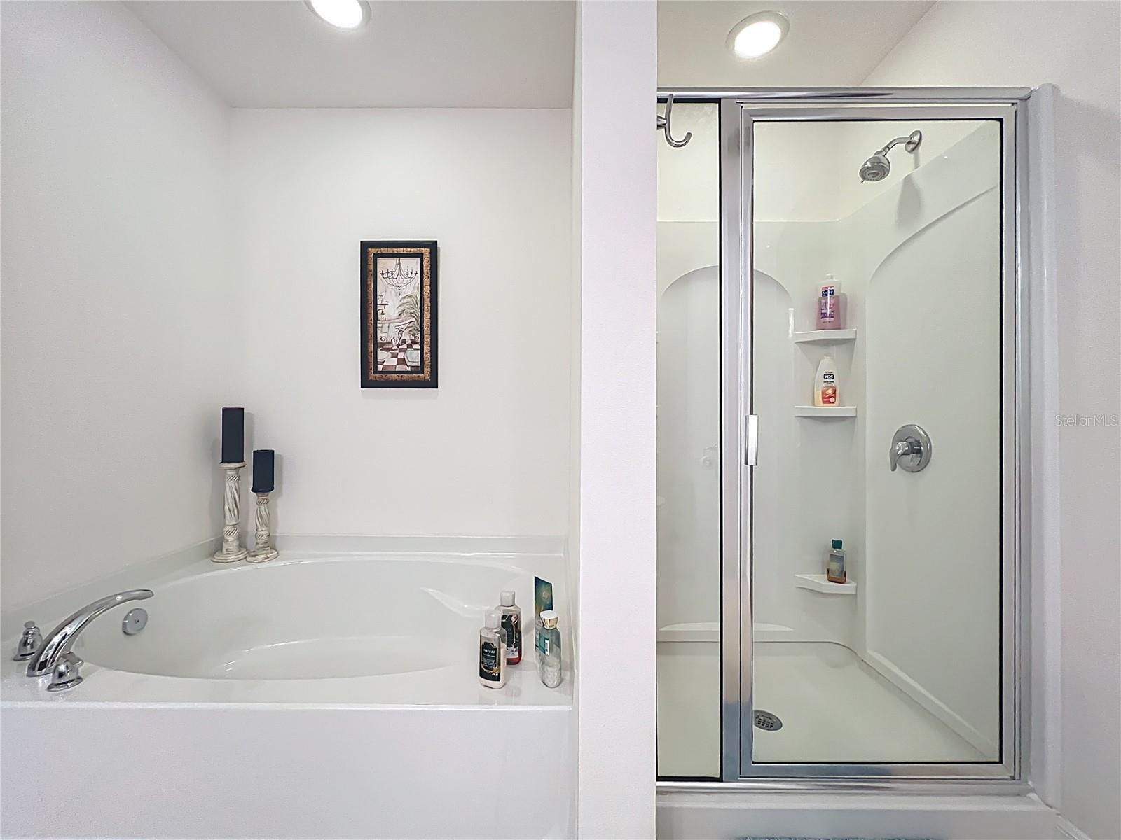 817 LAUREL VIEW WAY, GROVELAND, FL, 34736