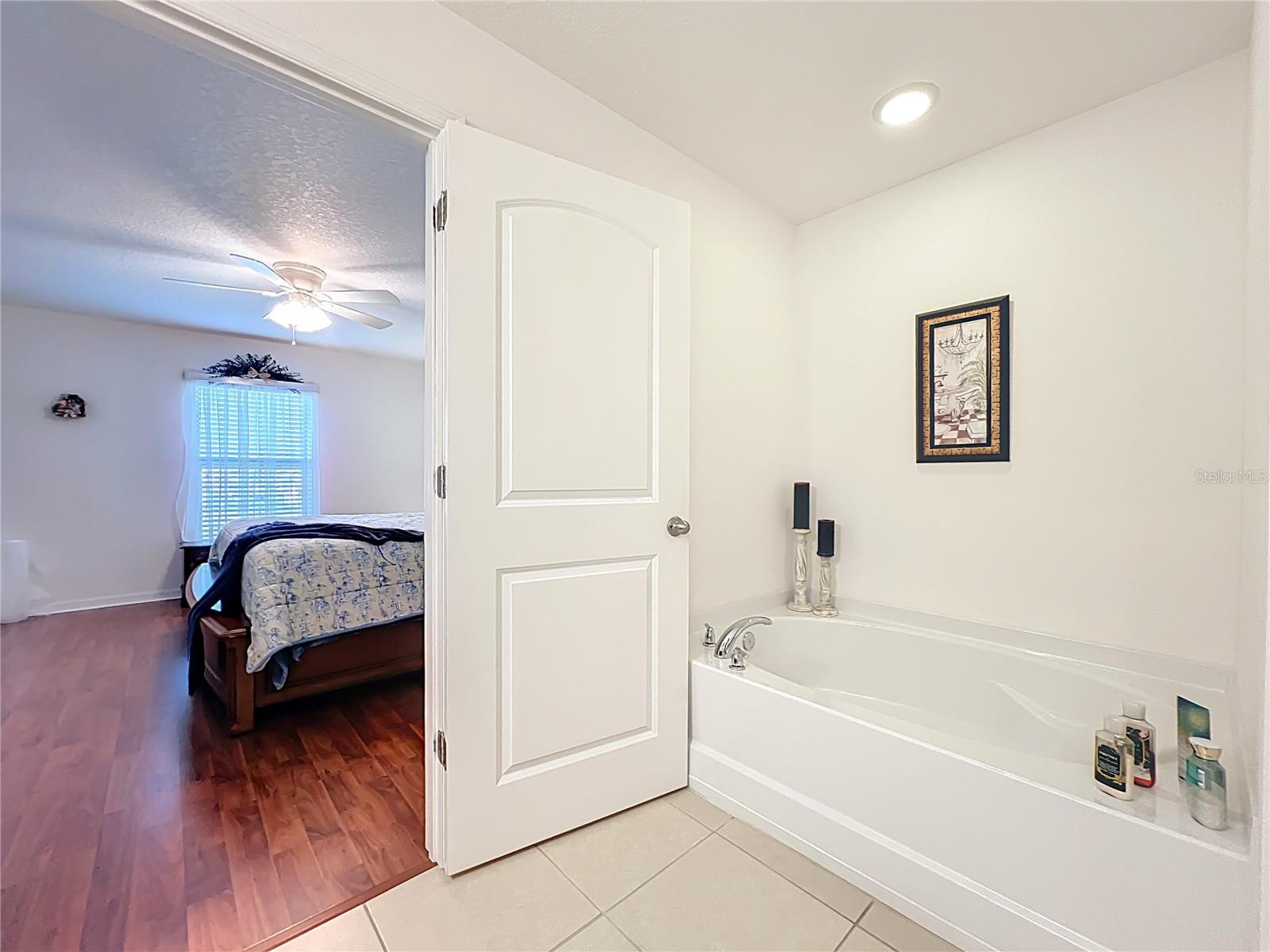 817 LAUREL VIEW WAY, GROVELAND, FL, 34736