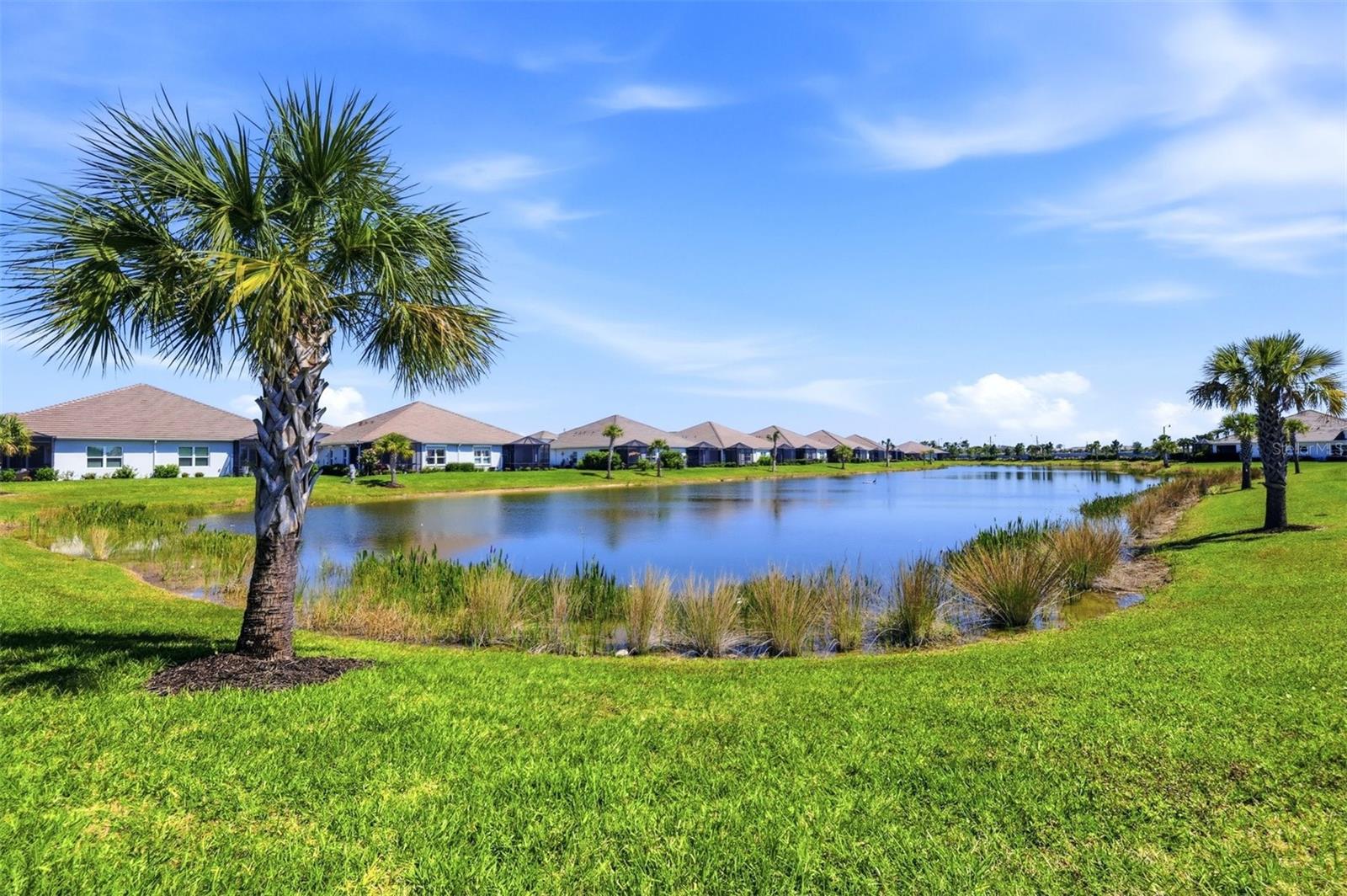 12667 BROOKGREEN ST, VENICE, FL, 34293