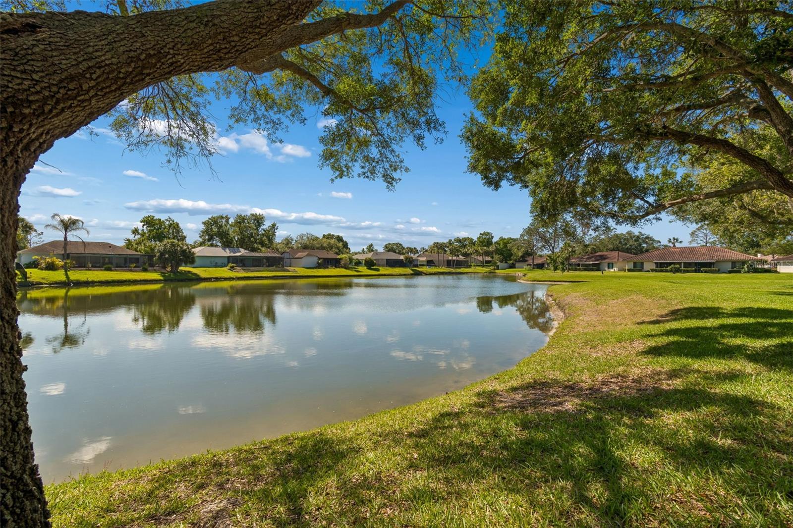 18529 PEBBLE LAKE CT, TAMPA, FL, 33647