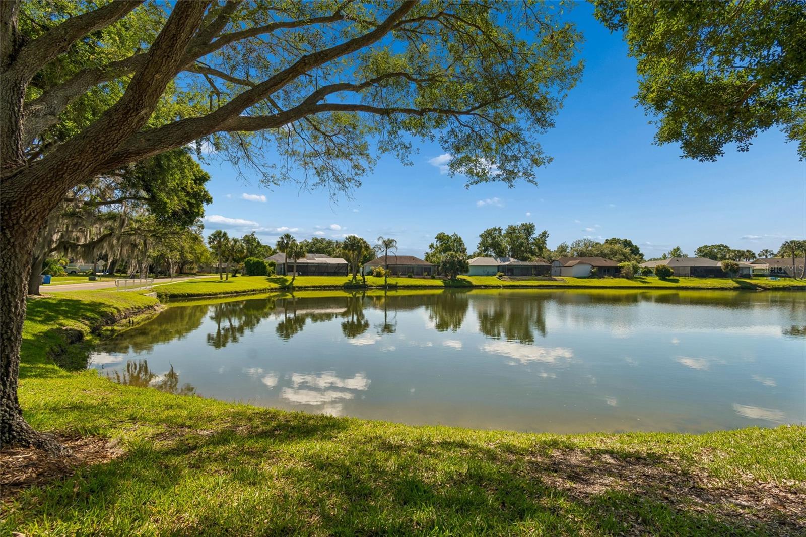 18529 PEBBLE LAKE CT, TAMPA, FL, 33647