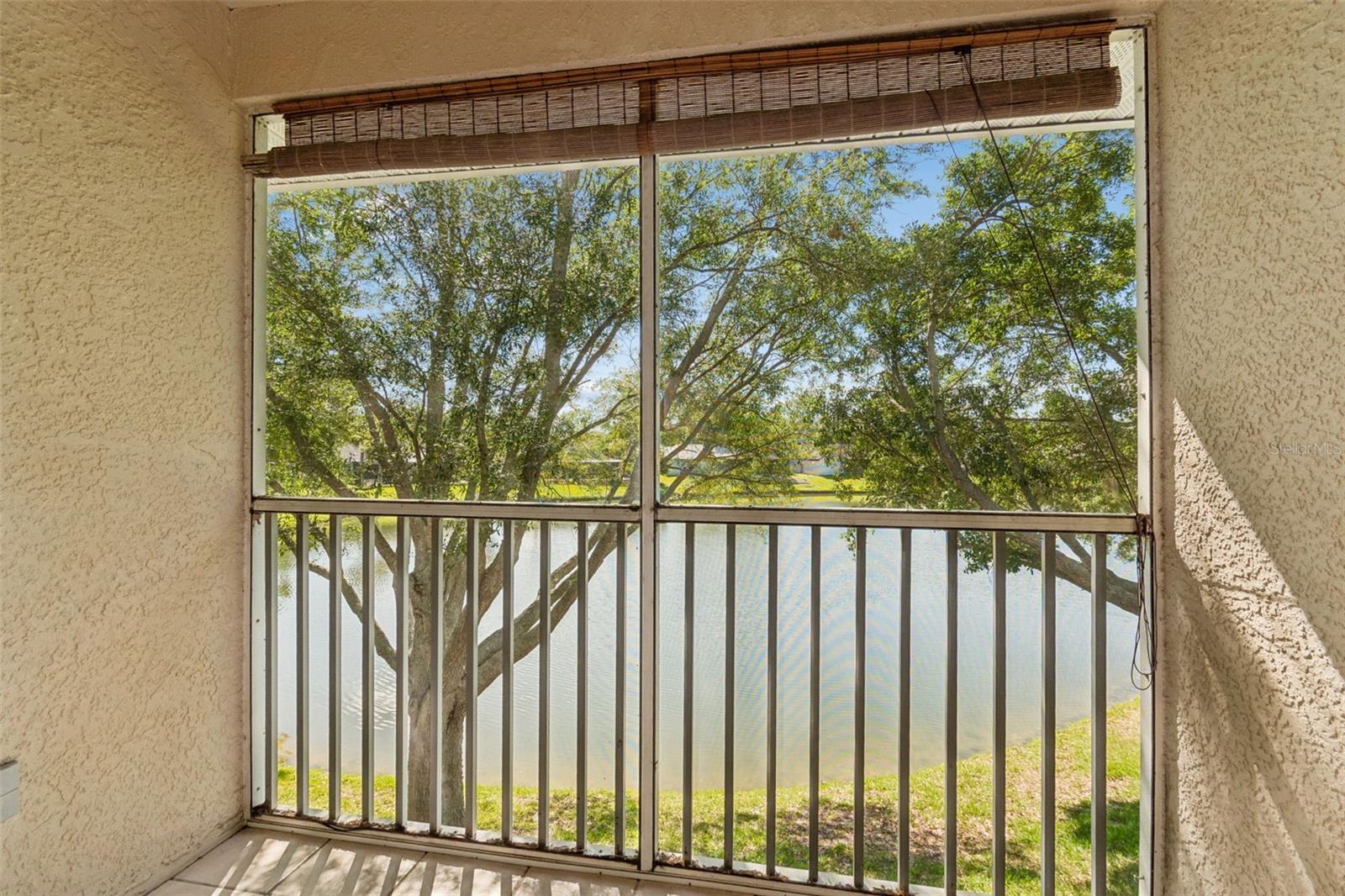 18529 PEBBLE LAKE CT, TAMPA, FL, 33647