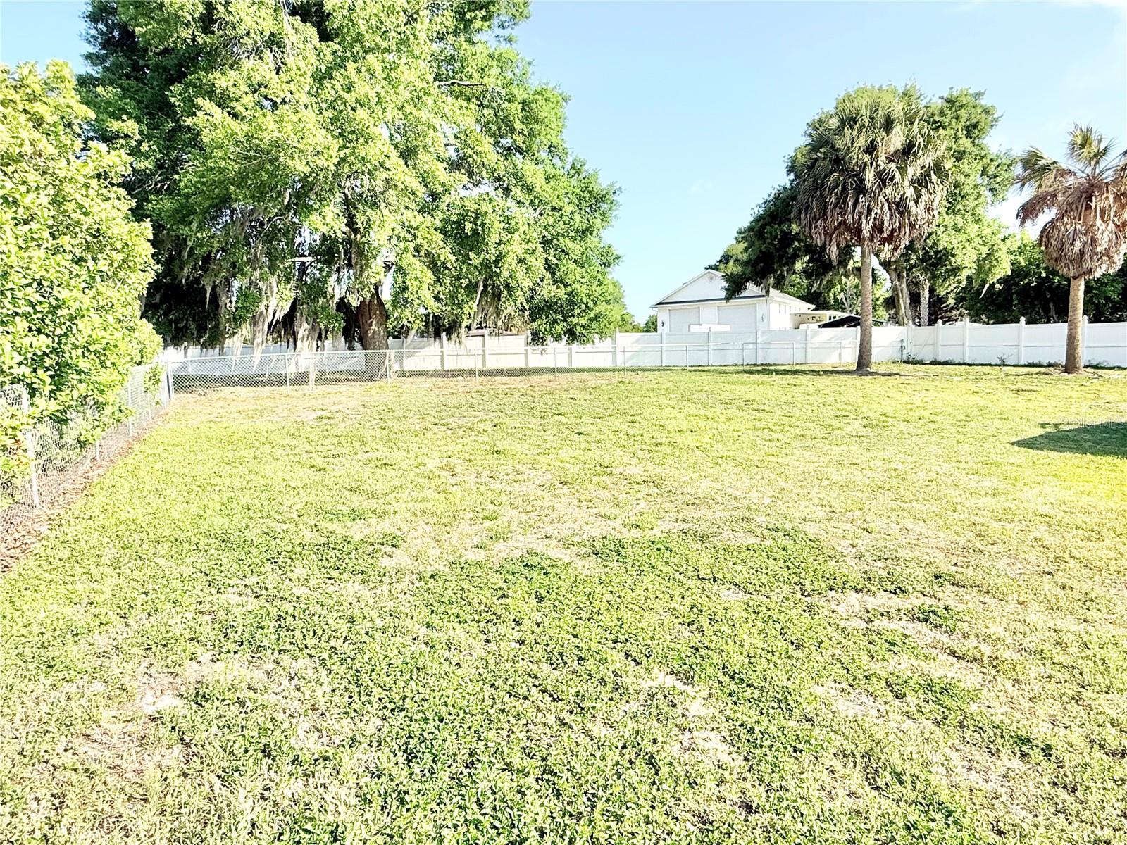 3155 LAKESHORE DR, MOUNT DORA, FL, 32757