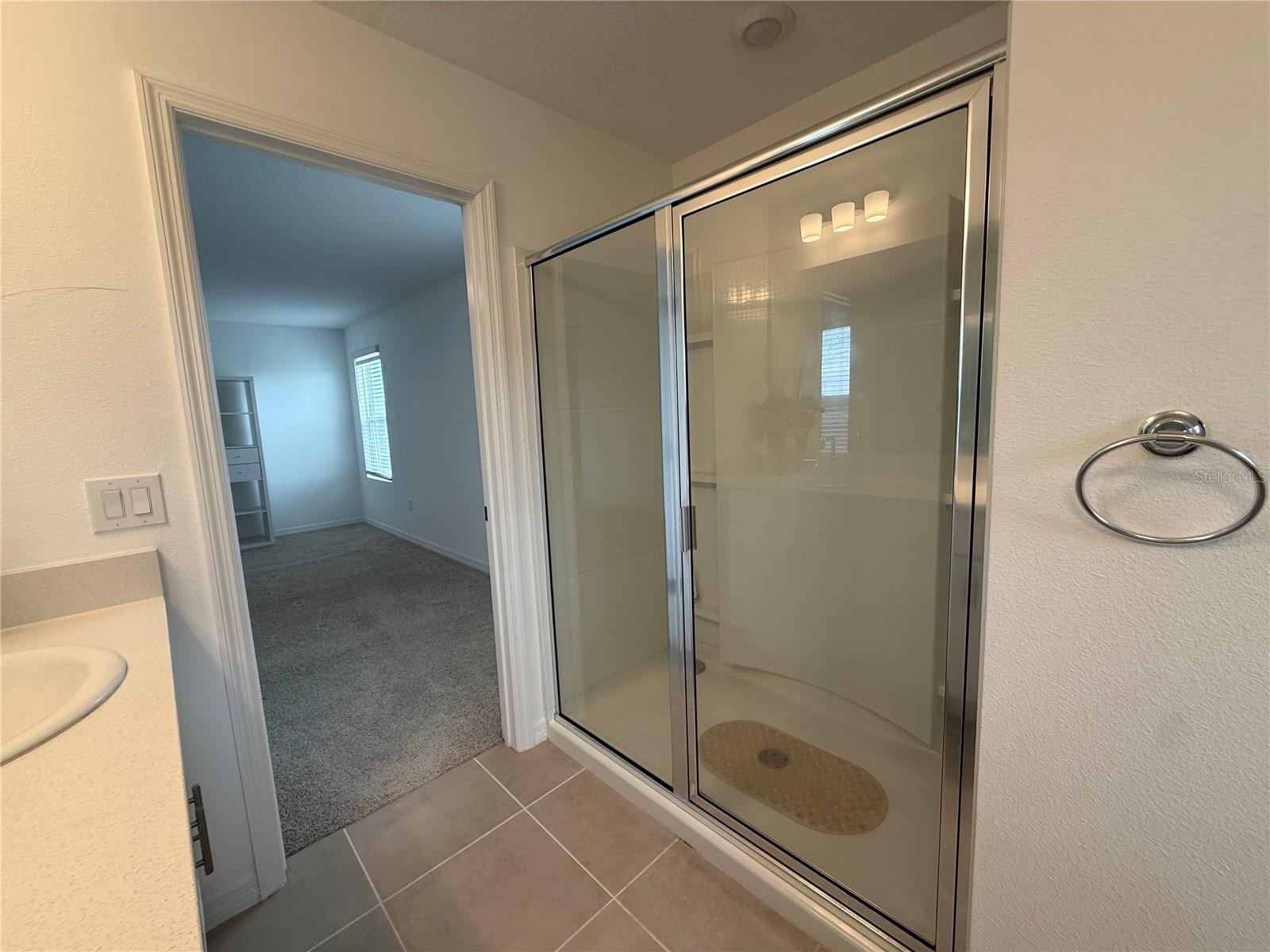 6431 MILESTONE LOOP, PALMETTO, FL, 34221