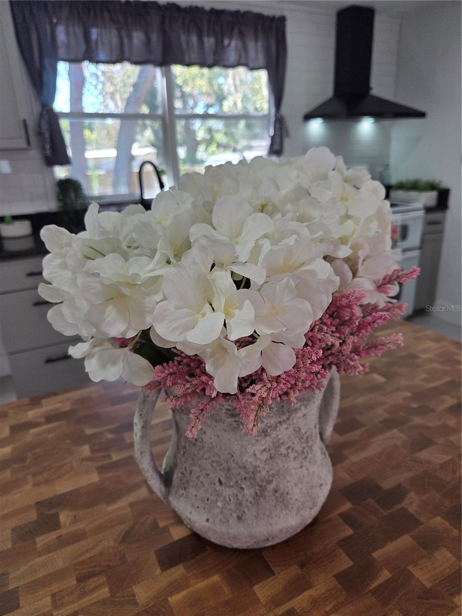 1846 FRUITLAND PARK BLVD, FRUITLAND PARK, FL, 34731