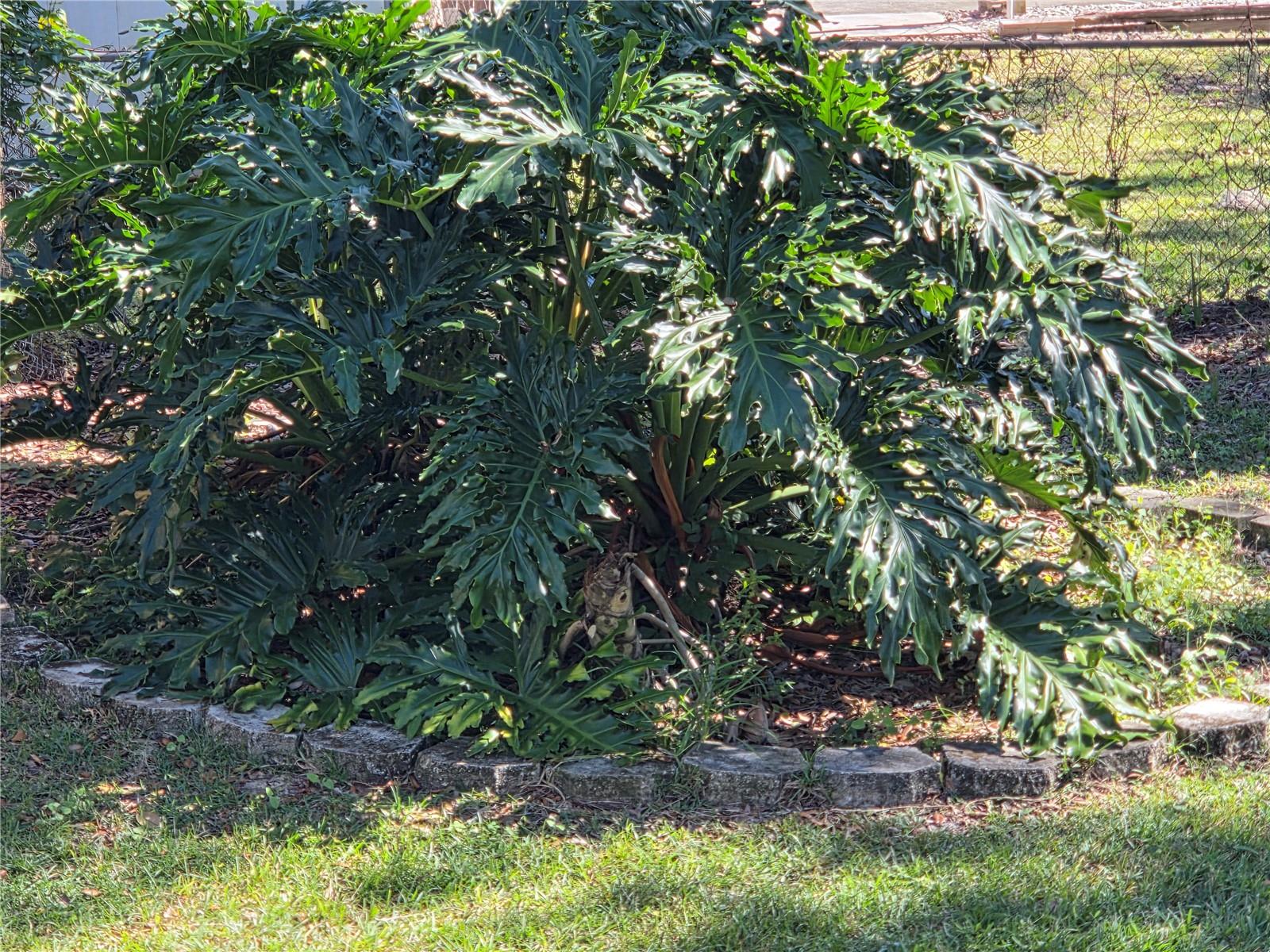 1846 FRUITLAND PARK BLVD, FRUITLAND PARK, FL, 34731