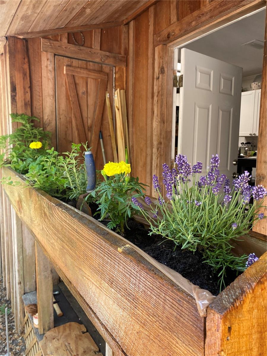 1231 NE 9TH ST W, GAINESVILLE, FL, 32601