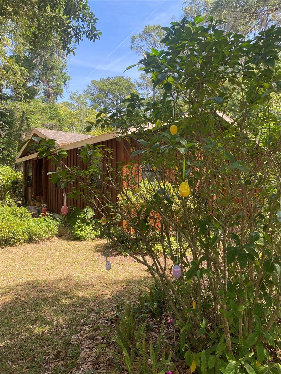 1231 NE 9TH ST W, GAINESVILLE, FL, 32601