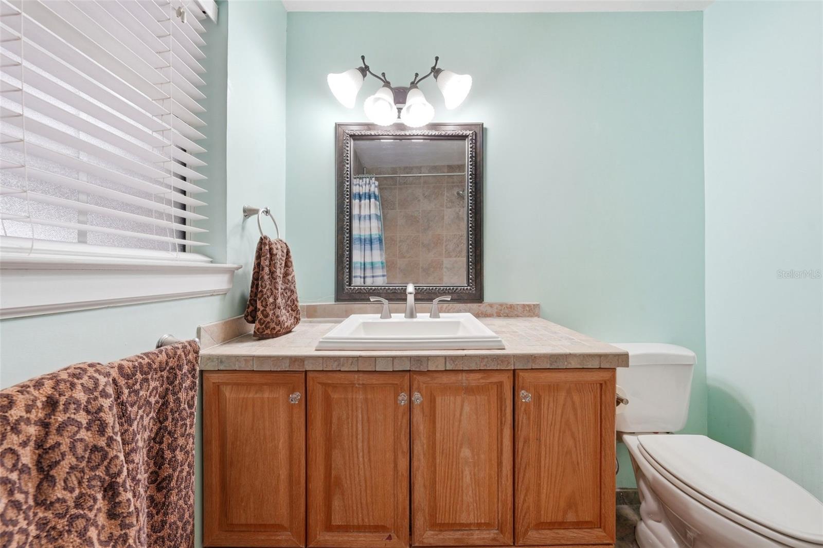 3996 LAKE ELEANOR DR, MOUNT DORA, FL, 32757