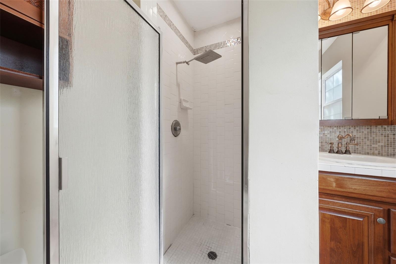 3996 LAKE ELEANOR DR, MOUNT DORA, FL, 32757