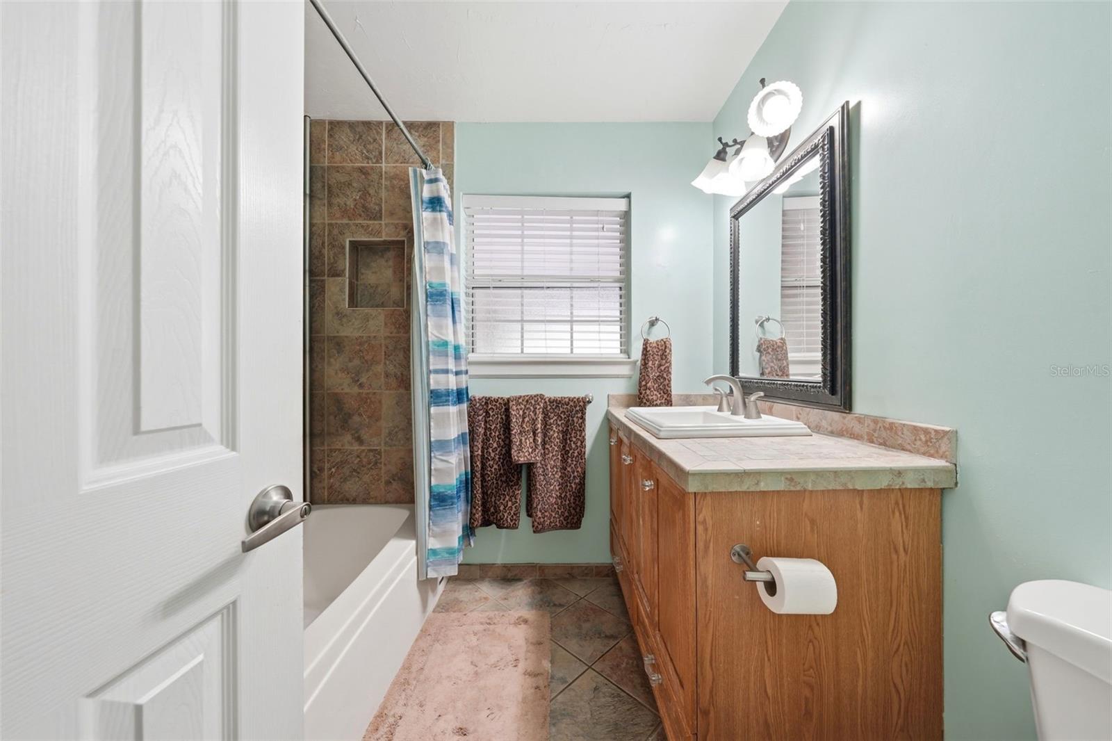 3996 LAKE ELEANOR DR, MOUNT DORA, FL, 32757