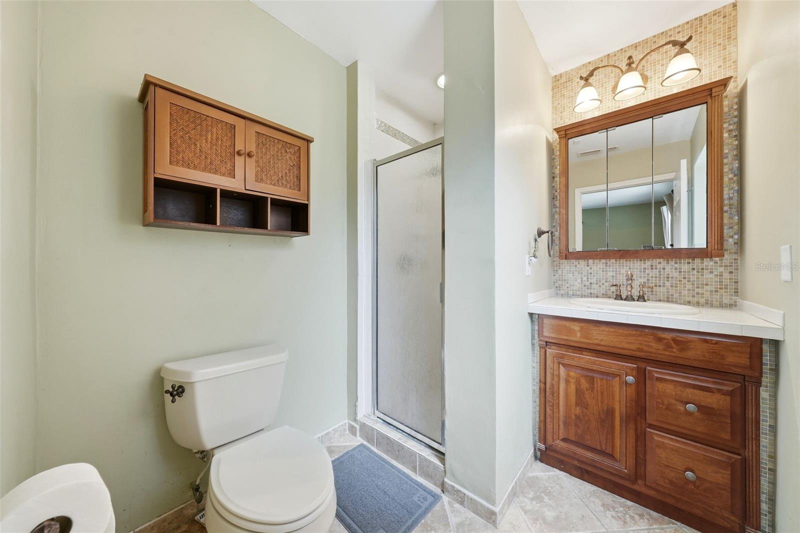 3996 LAKE ELEANOR DR, MOUNT DORA, FL, 32757