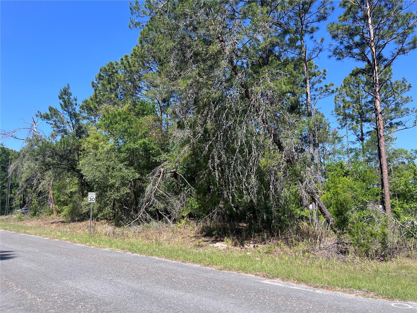 8000 N POCONO DR, CITRUS SPRINGS, FL, 34434