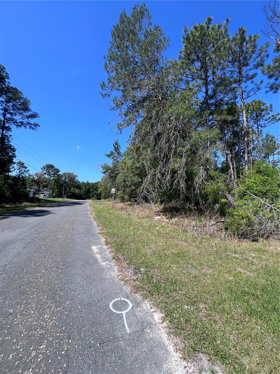 8000 N POCONO DR, CITRUS SPRINGS, FL, 34434