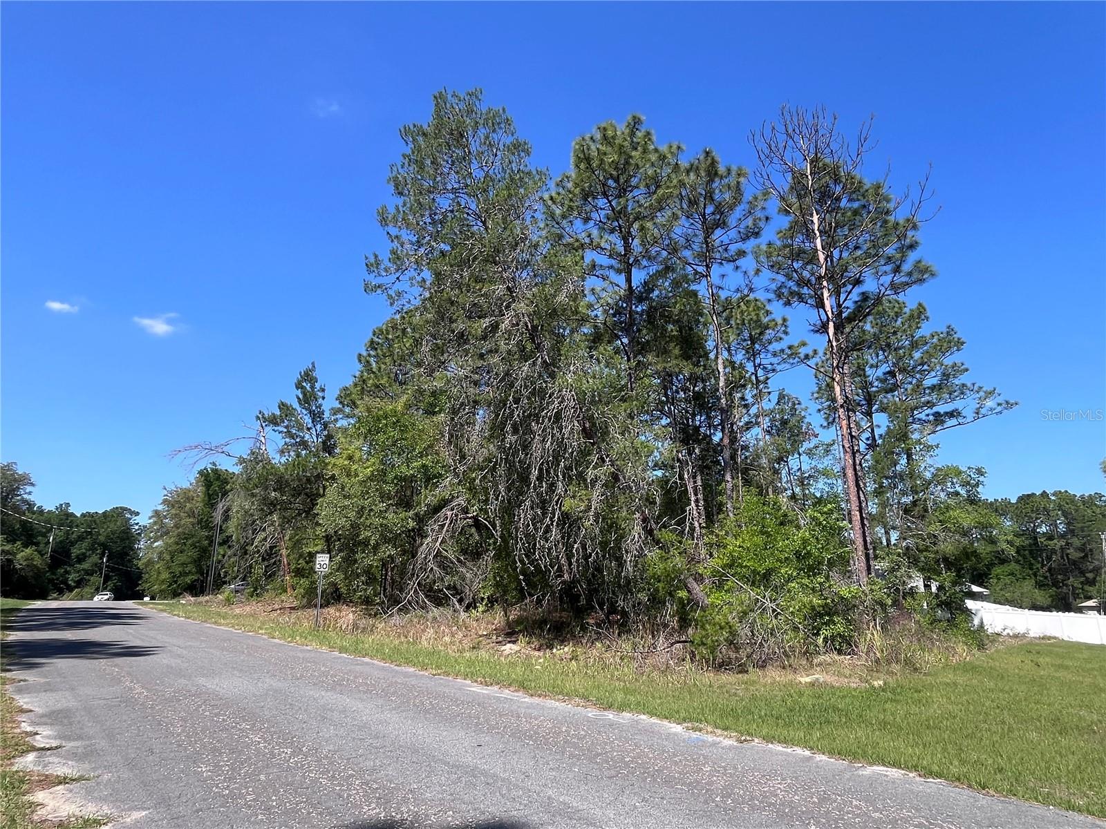 8000 N POCONO DR, CITRUS SPRINGS, FL, 34434