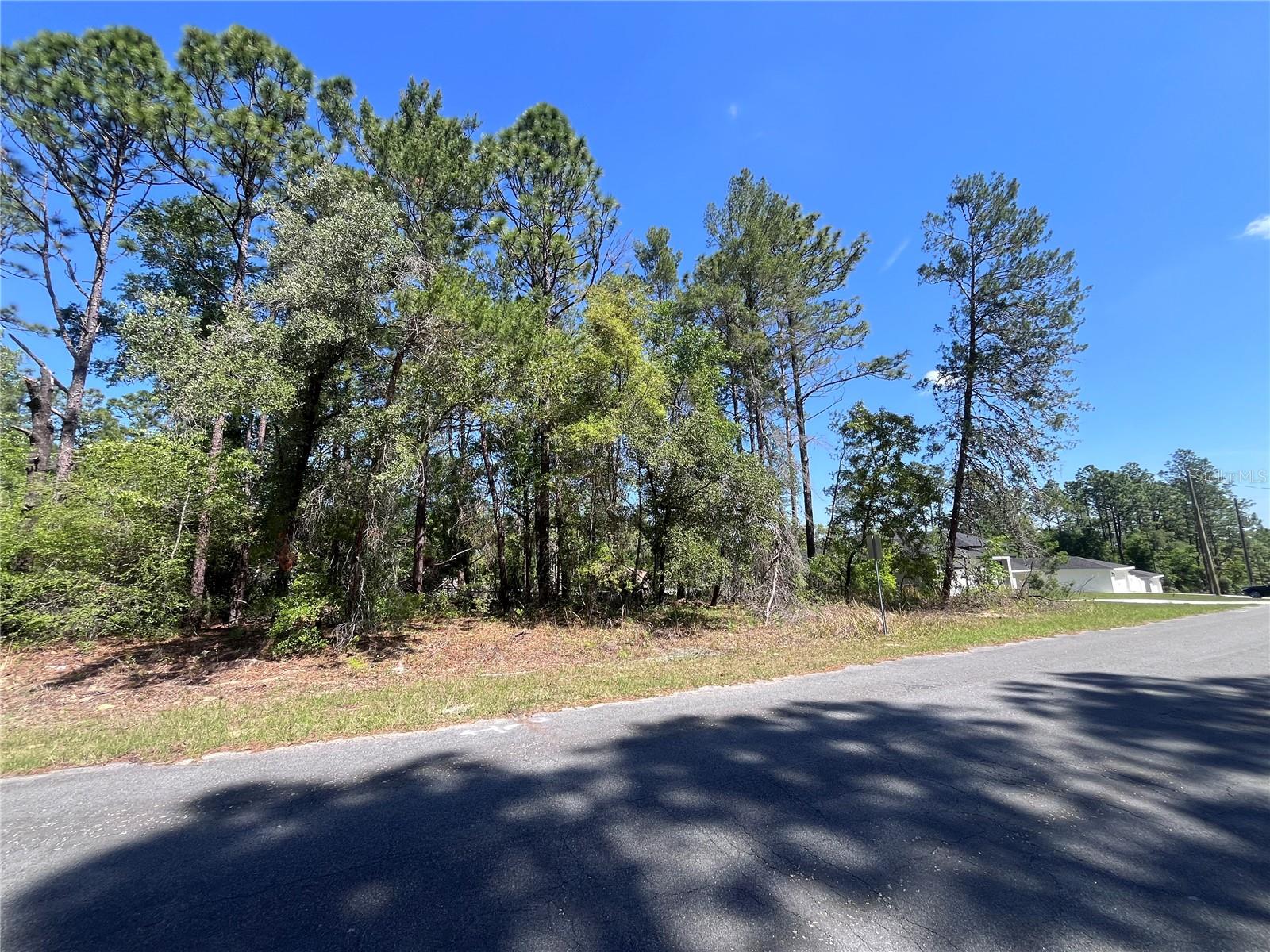 8000 N POCONO DR, CITRUS SPRINGS, FL, 34434