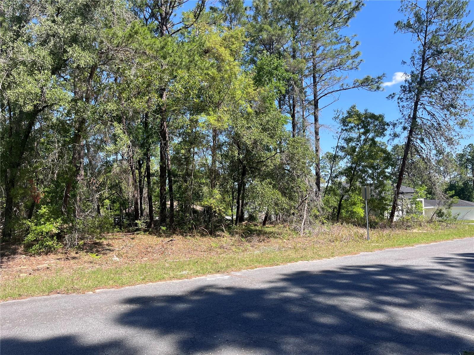 8000 N POCONO DR, CITRUS SPRINGS, FL, 34434