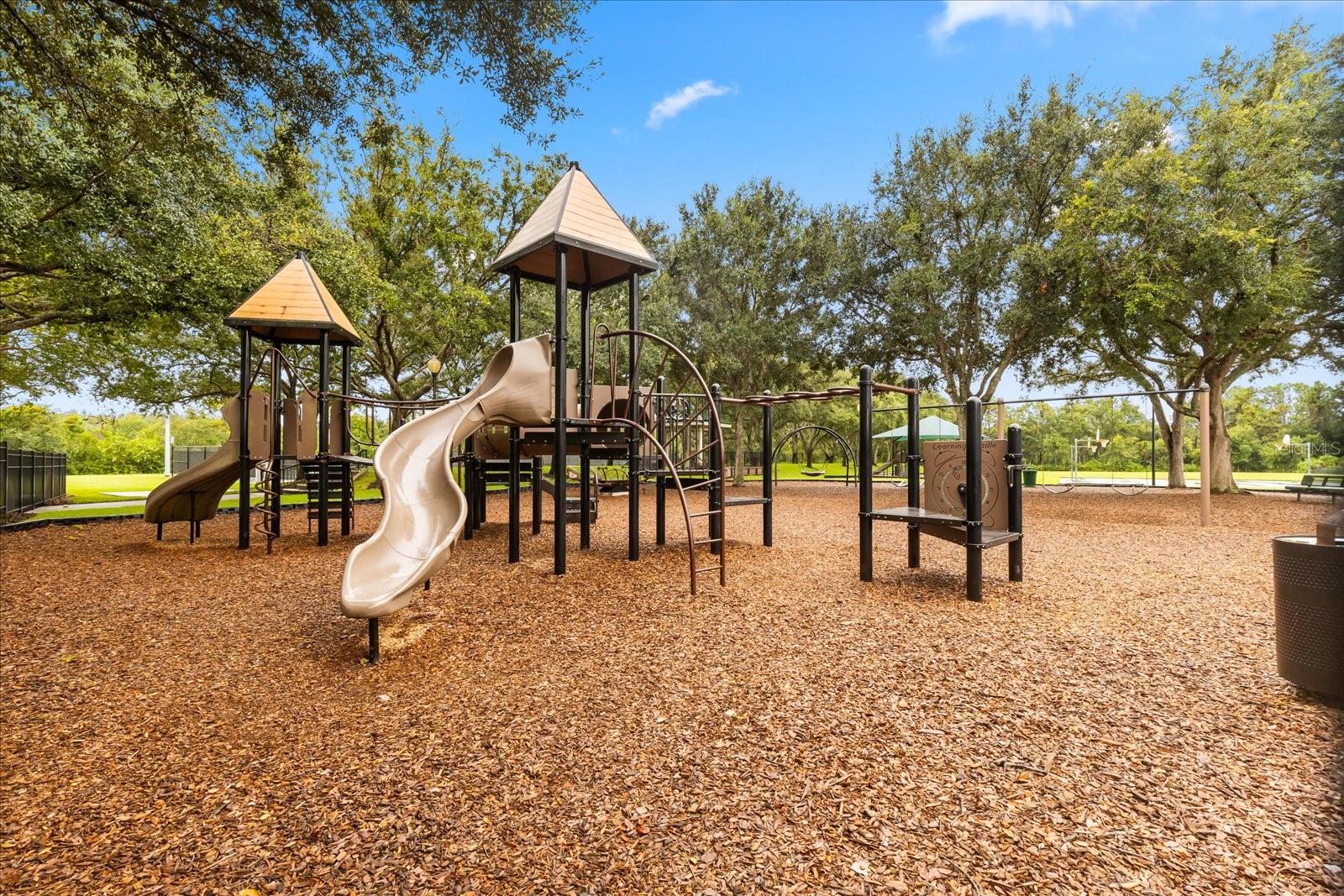 19027 DOVE CREEK DR, TAMPA, FL, 33647