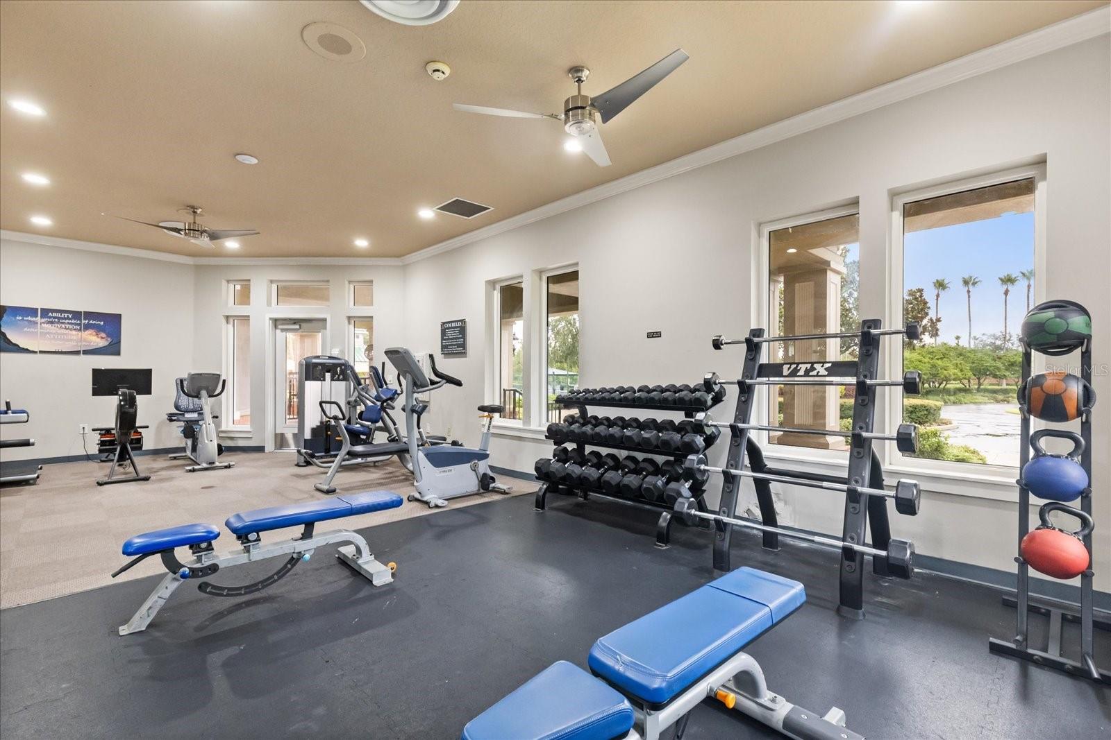 19027 DOVE CREEK DR, TAMPA, FL, 33647