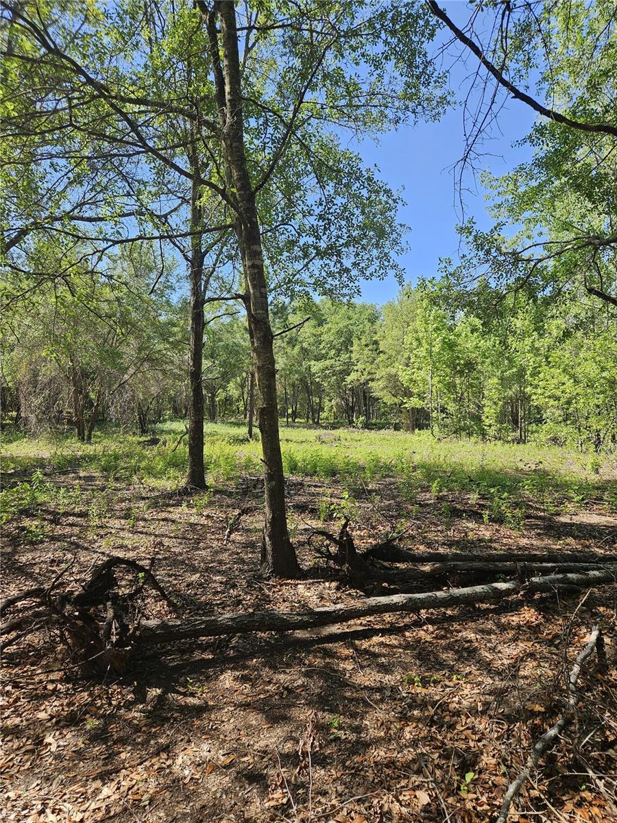 000 SW MIXSON RD, LAKE CITY, FL, 32024