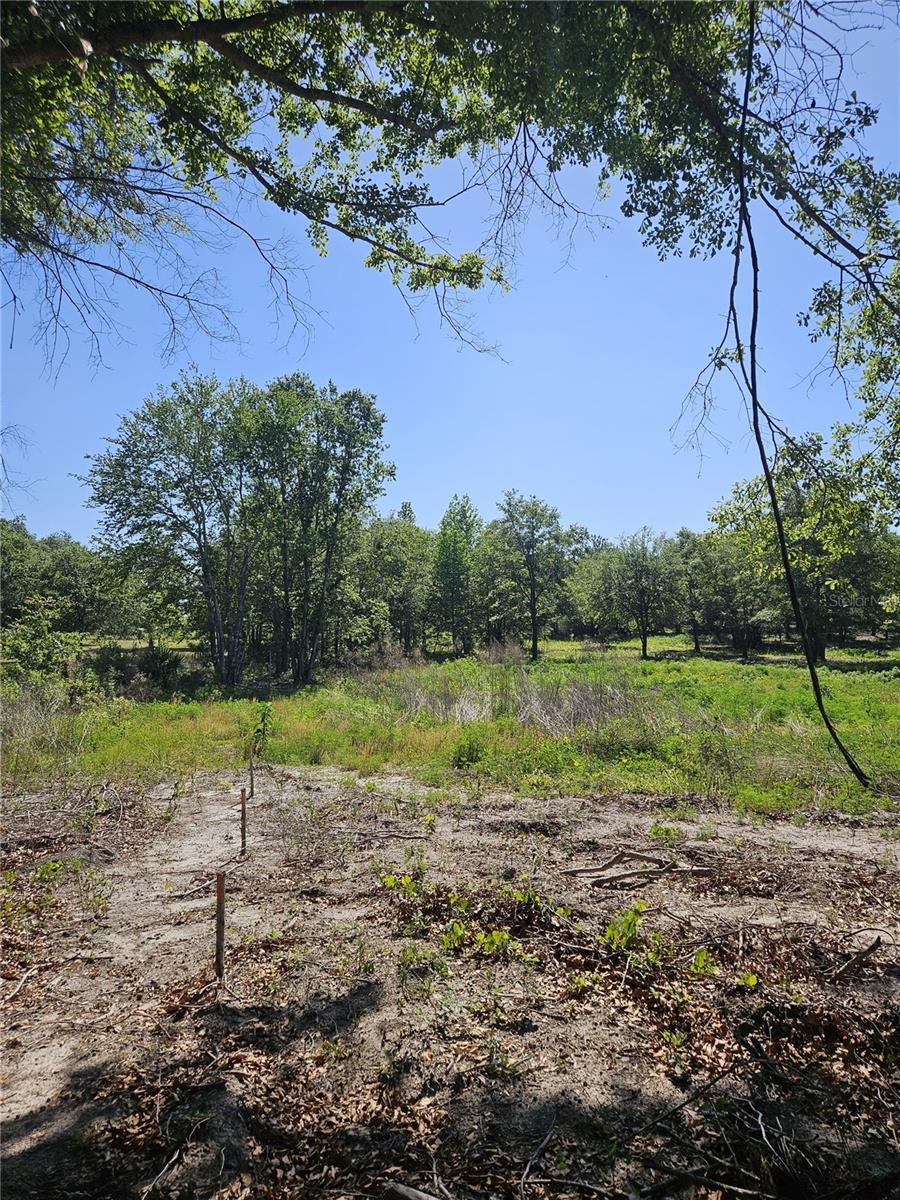 000 SW MIXSON RD, LAKE CITY, FL, 32024