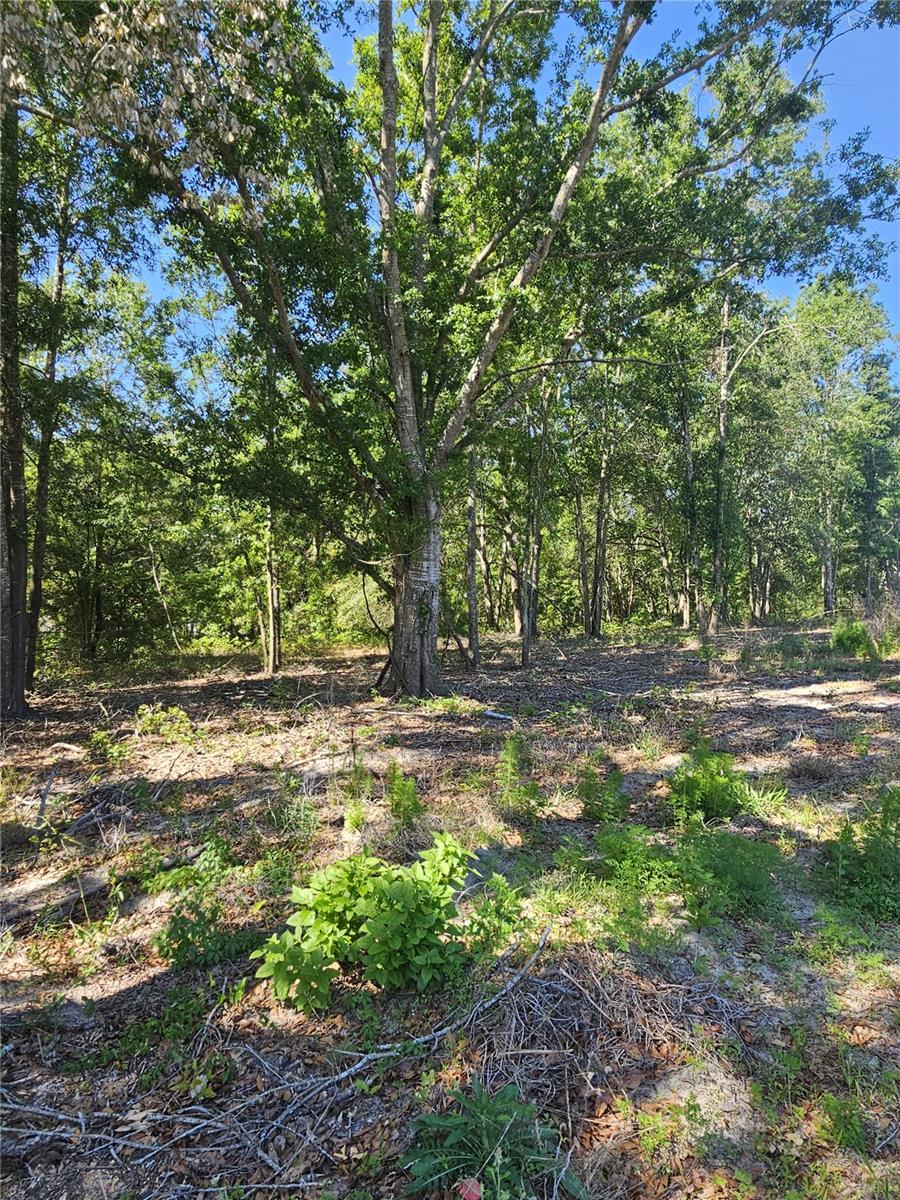 000 SW MIXSON RD, LAKE CITY, FL, 32024