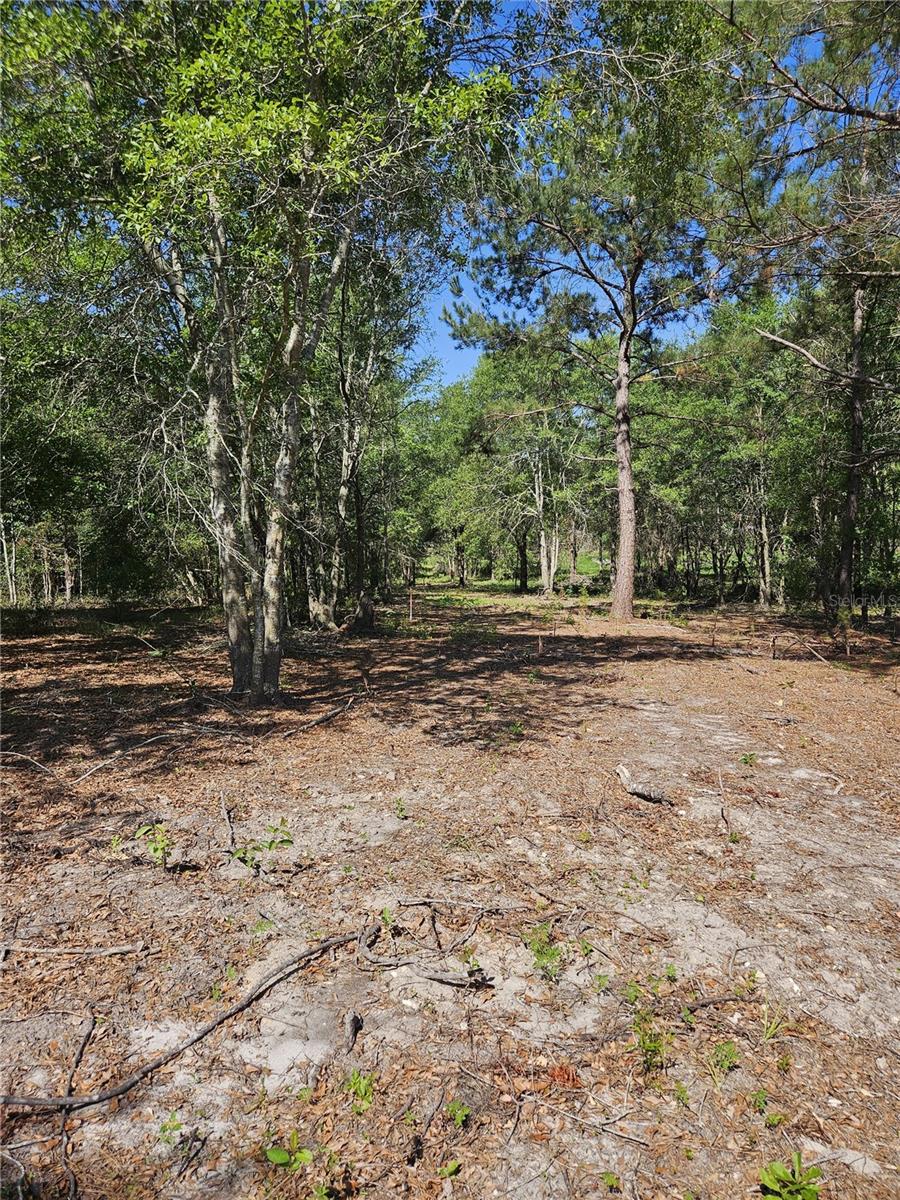 000 SW MIXSON RD, LAKE CITY, FL, 32024