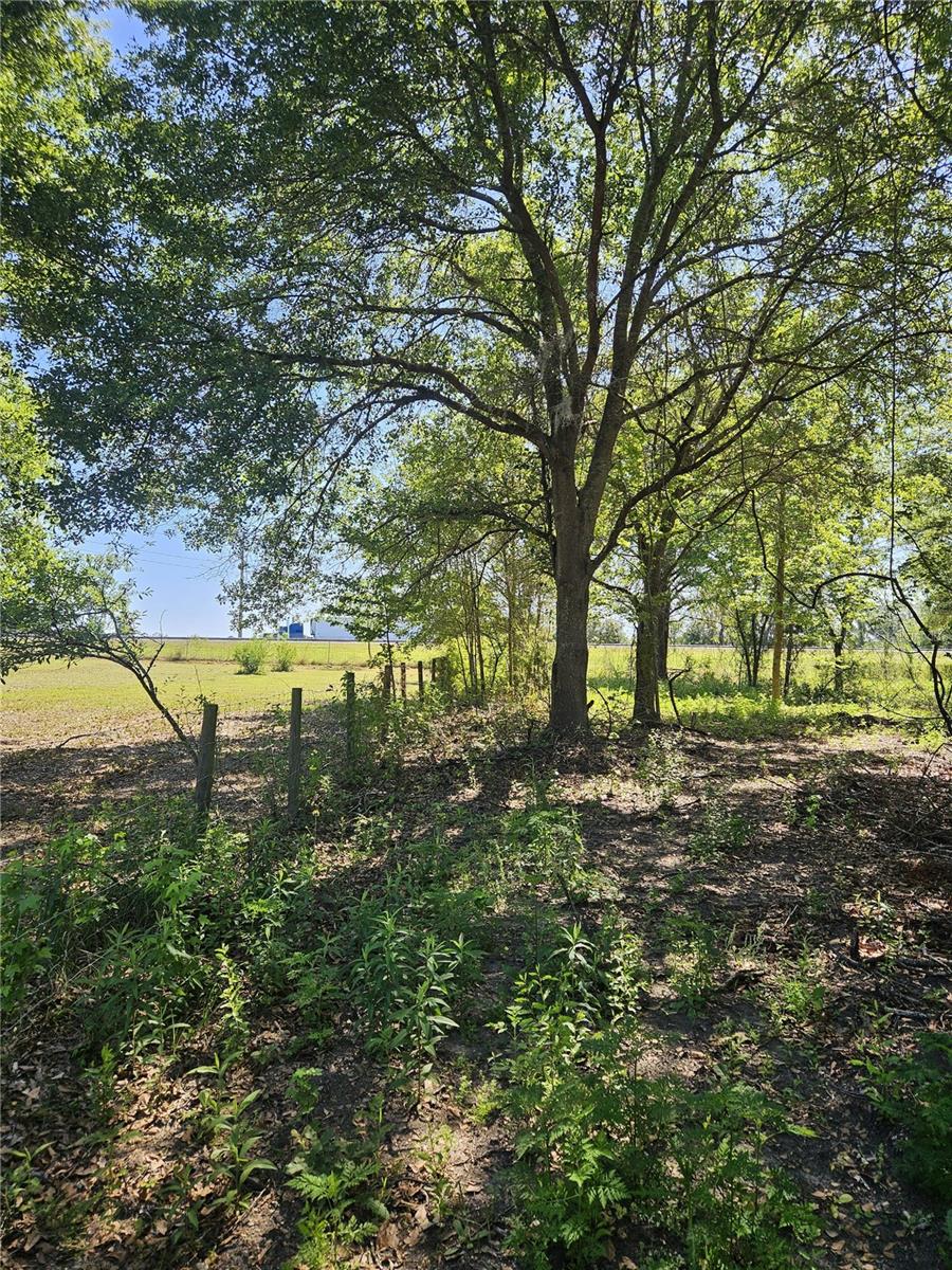 000 SW MIXSON RD, LAKE CITY, FL, 32024