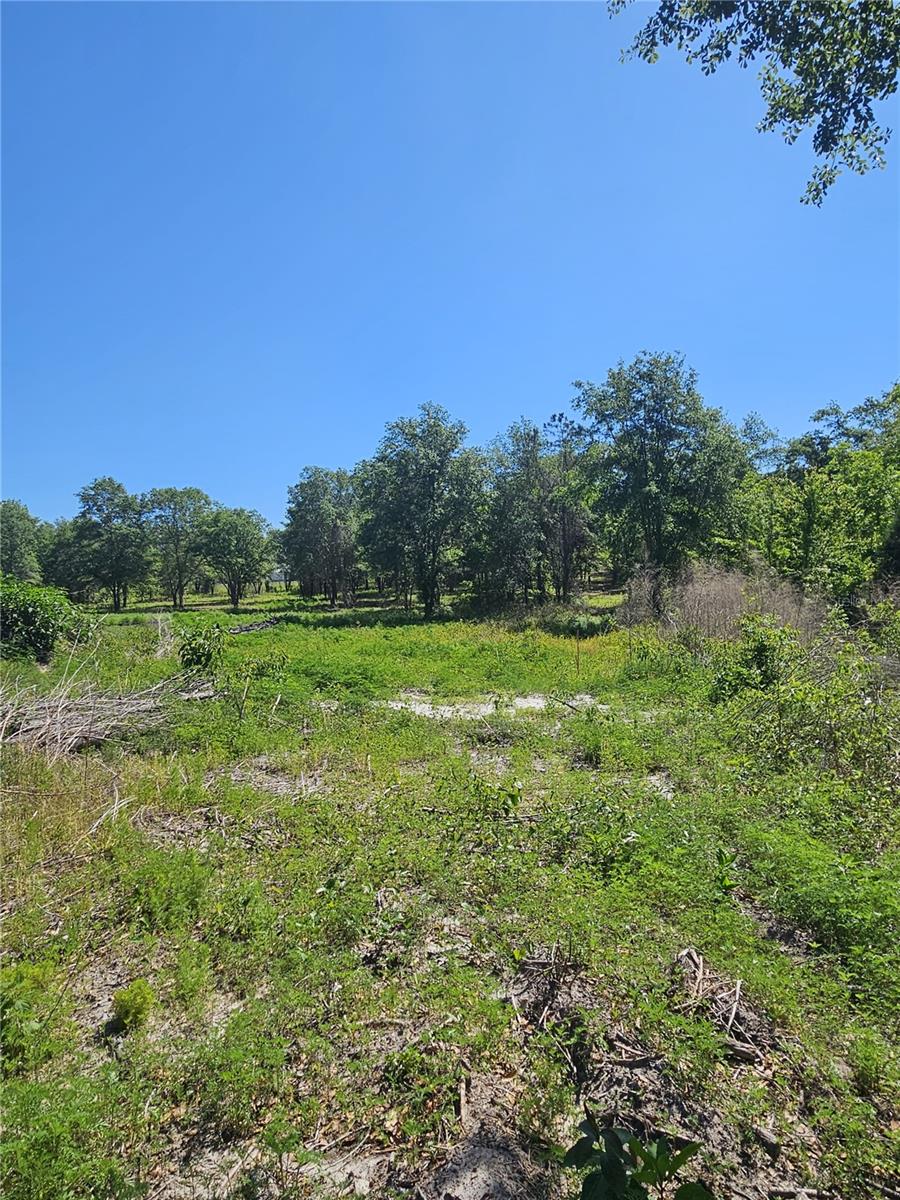 000 SW MIXSON RD, LAKE CITY, FL, 32024