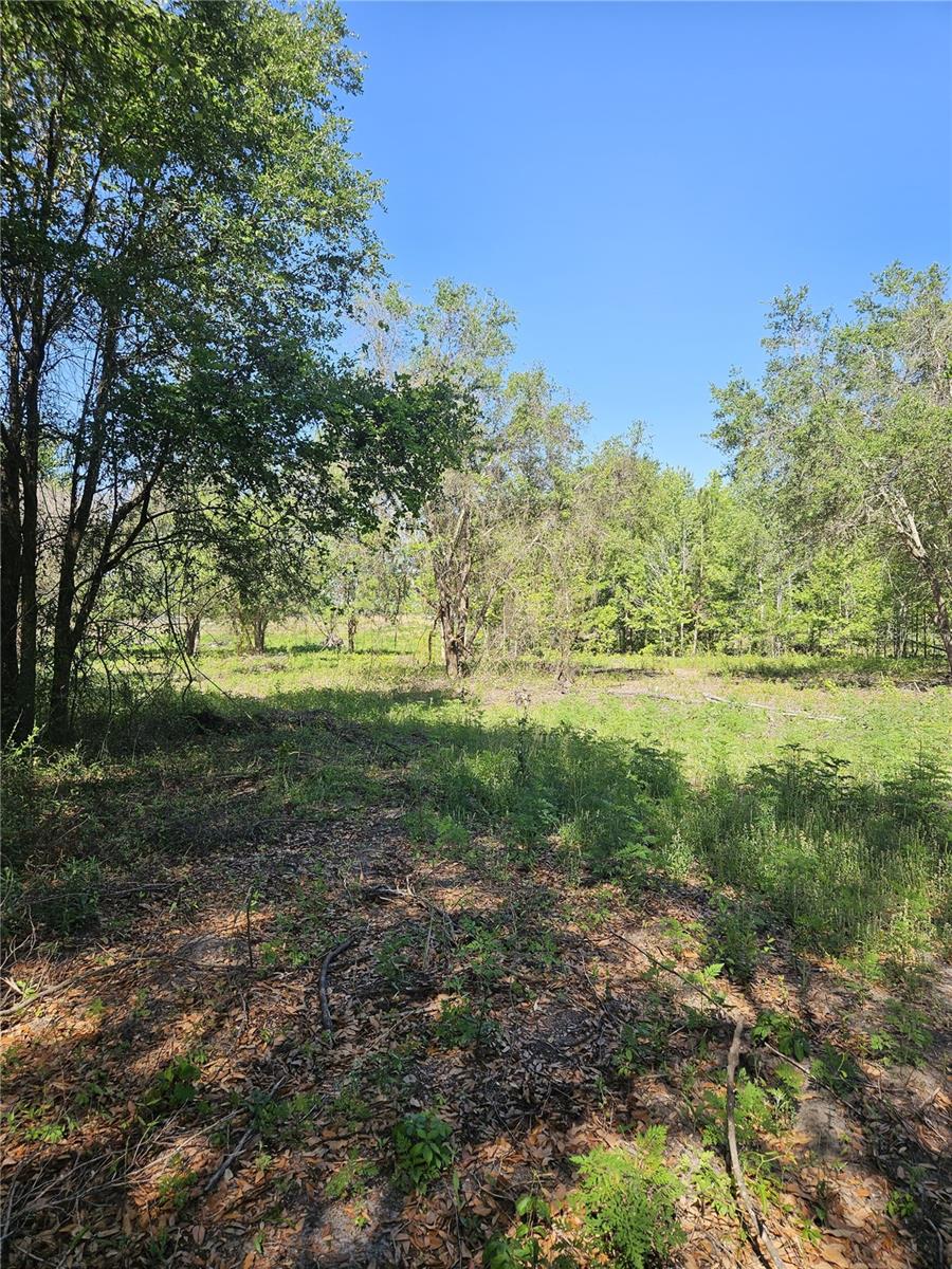 000 SW MIXSON RD, LAKE CITY, FL, 32024