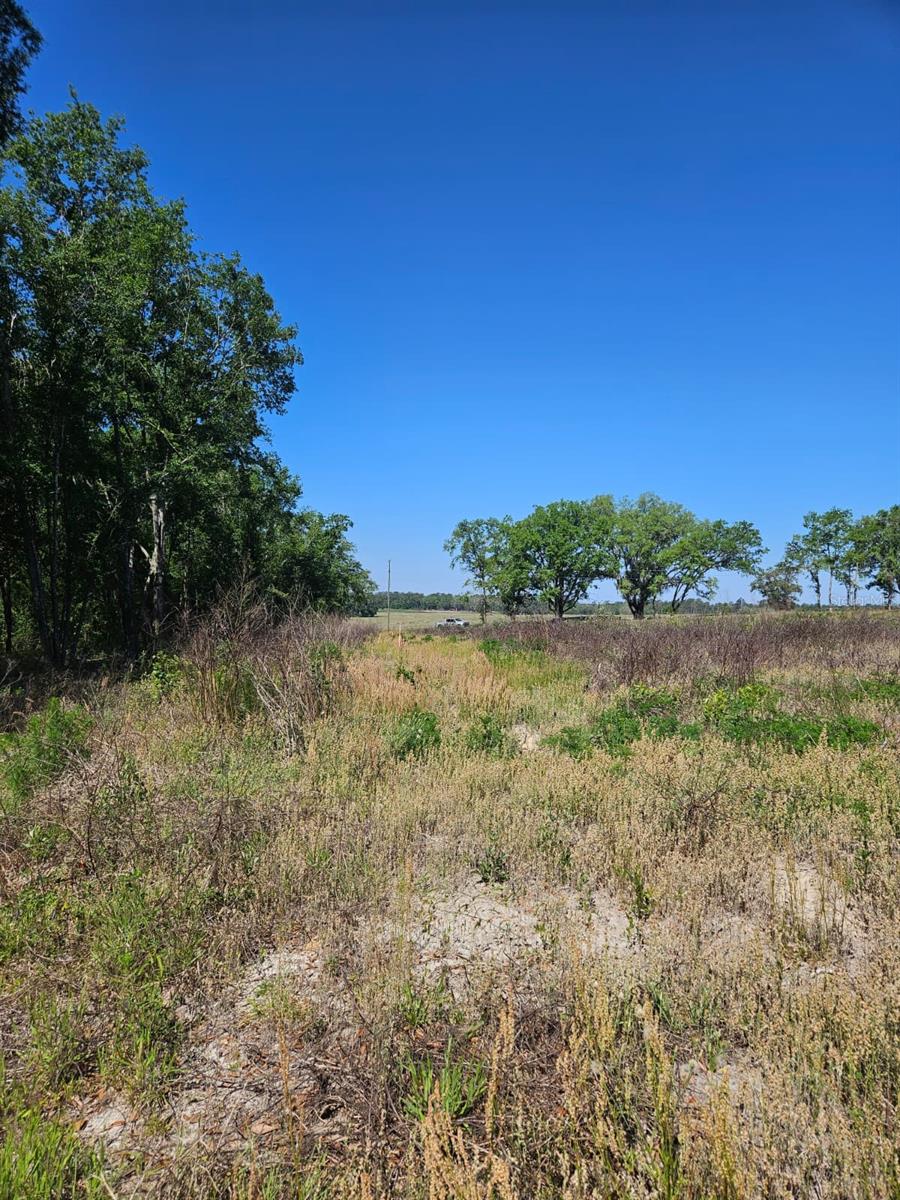 000 SW MIXSON RD, LAKE CITY, FL, 32024