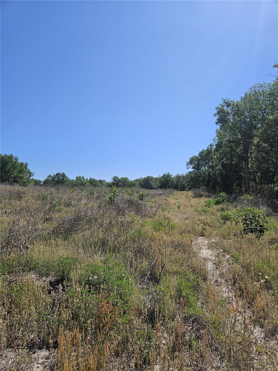 000 SW MIXSON RD, LAKE CITY, FL, 32024