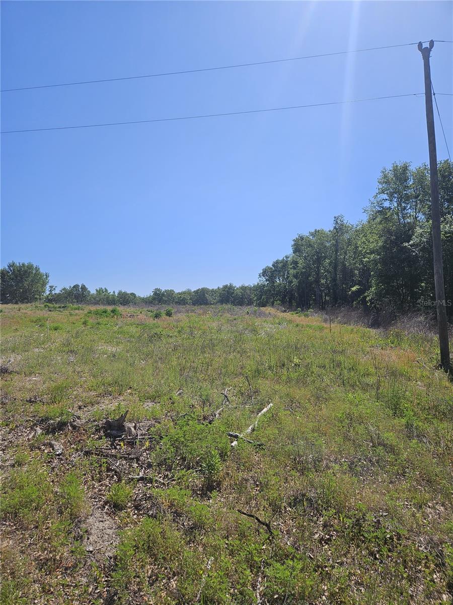 000 SW MIXSON RD, LAKE CITY, FL, 32024