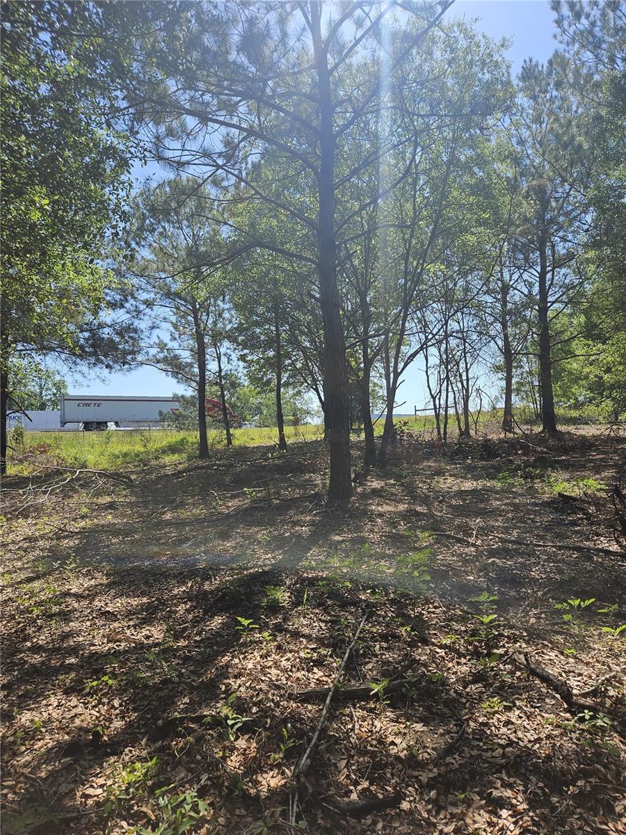 000 SW MIXSON RD, LAKE CITY, FL, 32024