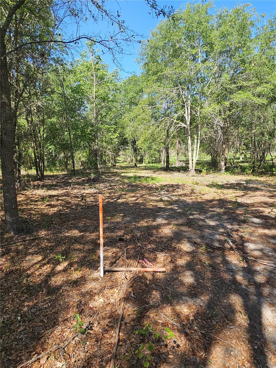 000 SW MIXSON RD, LAKE CITY, FL, 32024