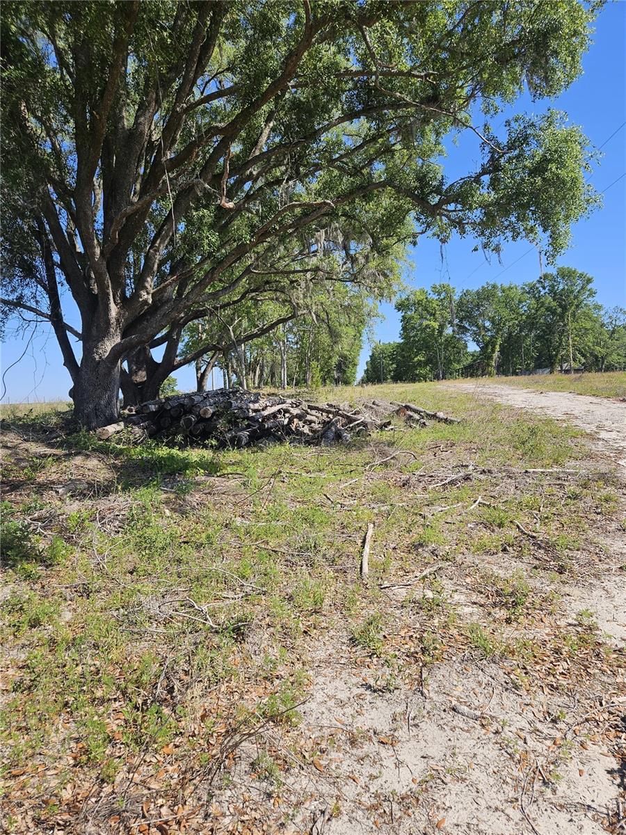 000 SW MIXSON RD, LAKE CITY, FL, 32024