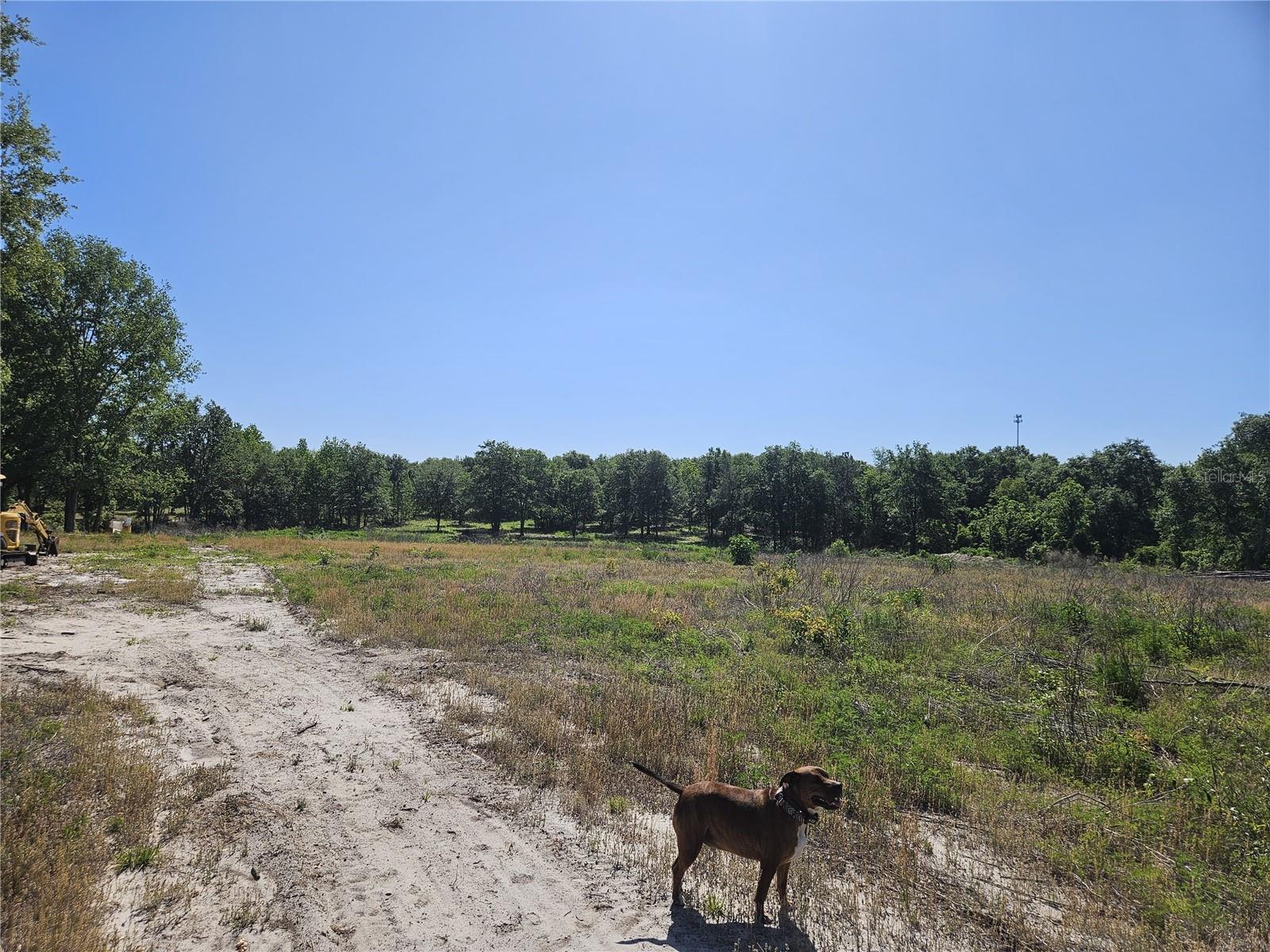 000 SW MIXSON RD, LAKE CITY, FL, 32024