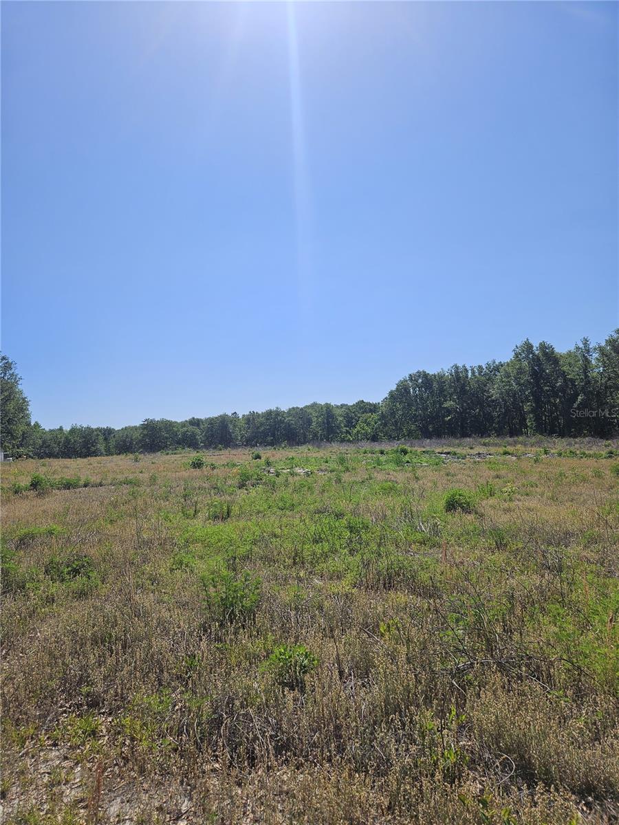 000 SW MIXSON RD, LAKE CITY, FL, 32024