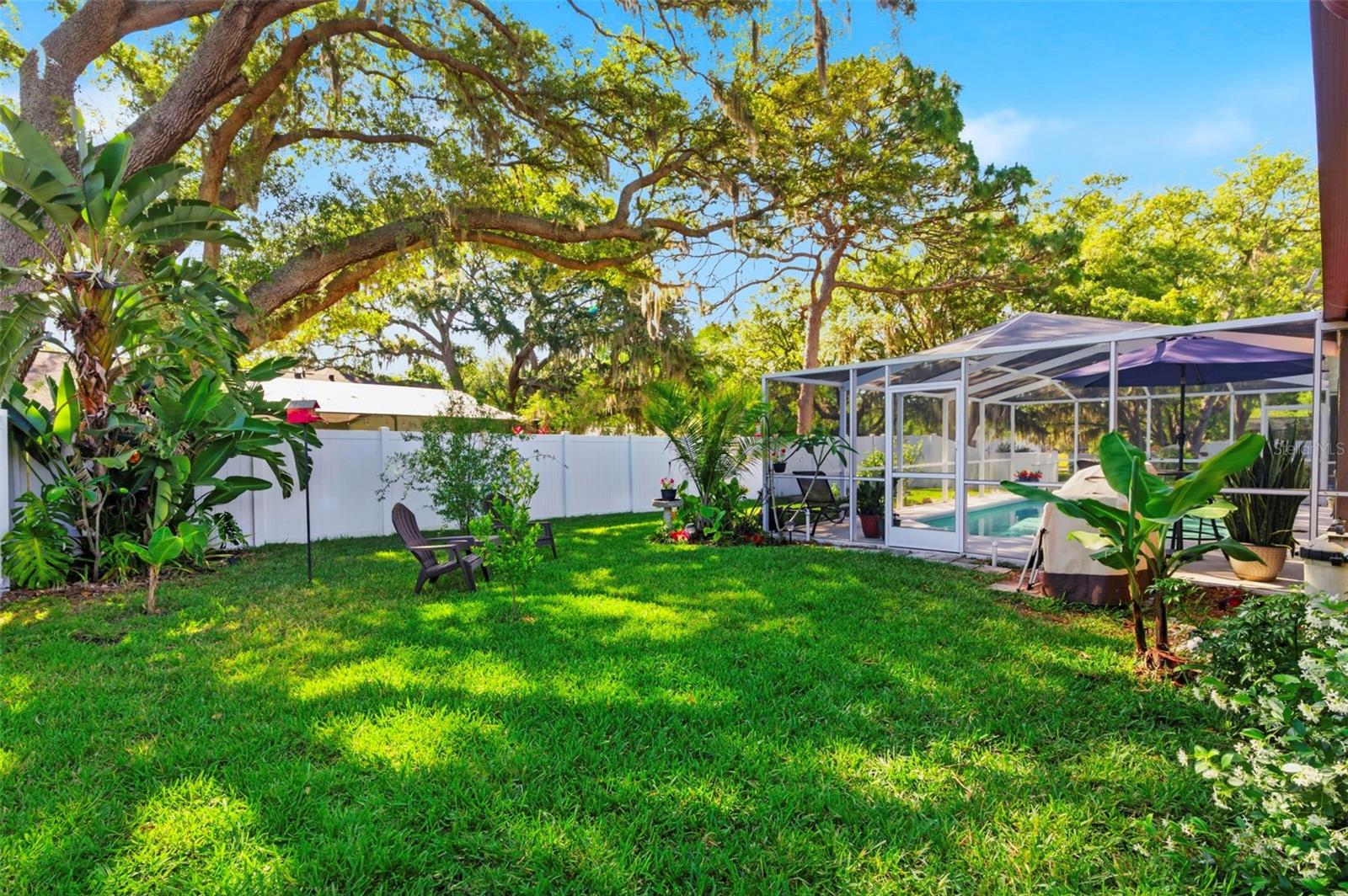 5226 SALTAMONTE DR, NEW PORT RICHEY, FL, 34655