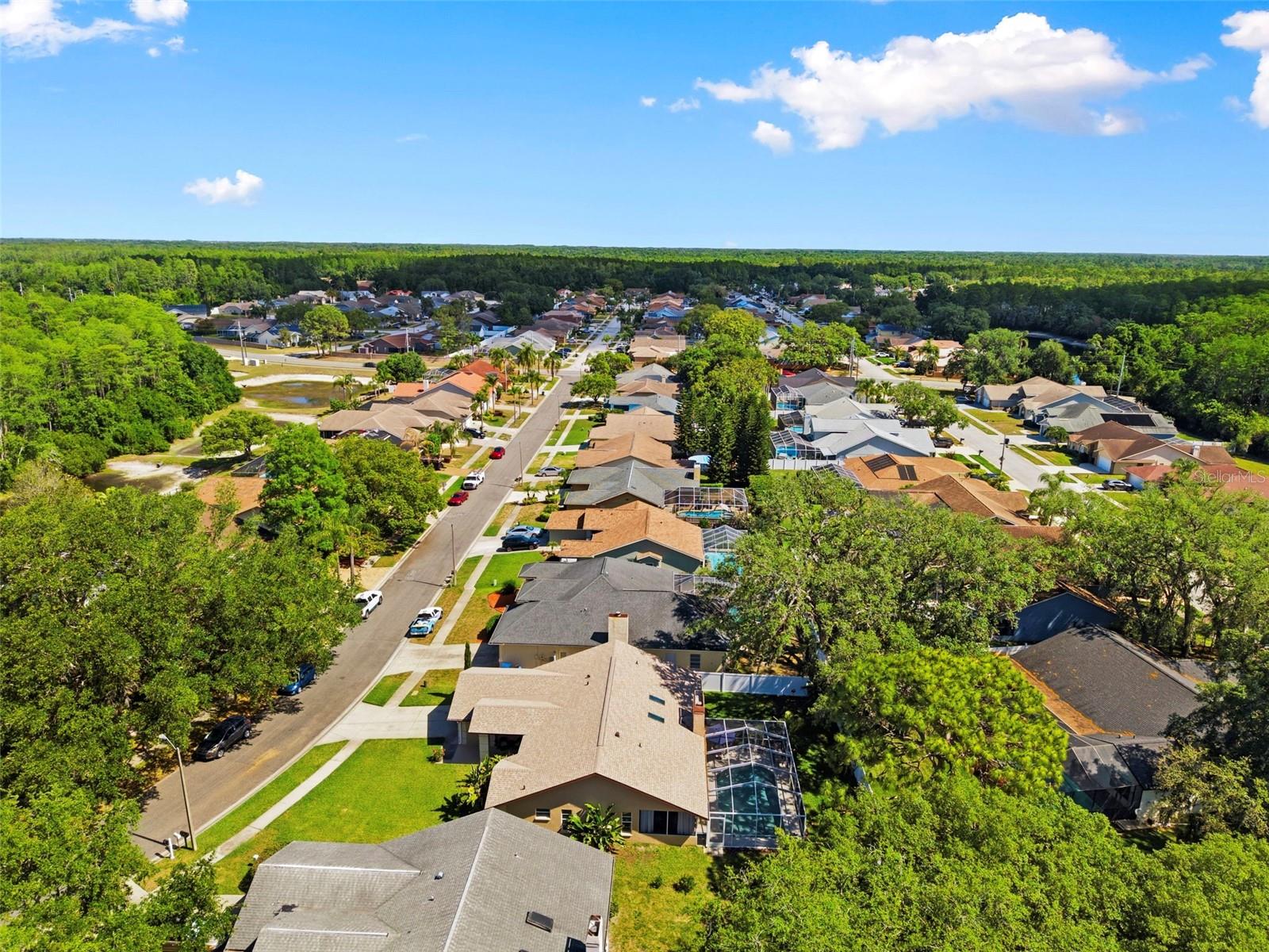 5226 SALTAMONTE DR, NEW PORT RICHEY, FL, 34655