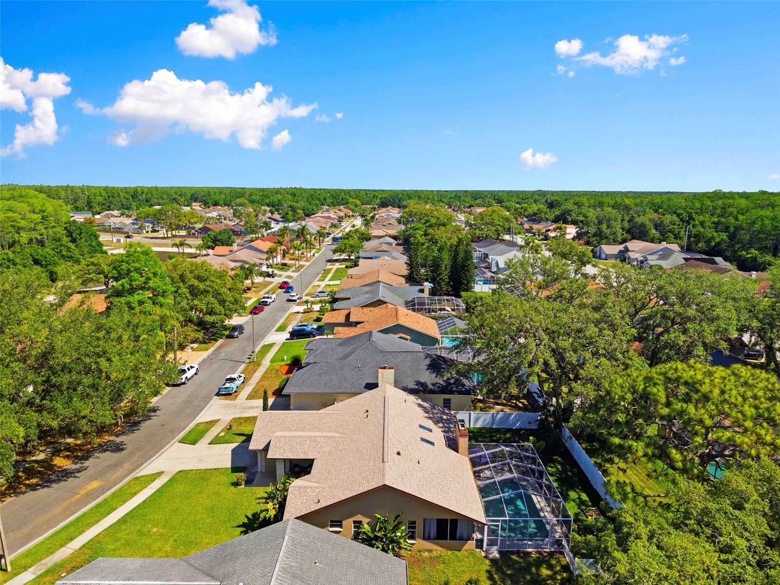 5226 SALTAMONTE DR, NEW PORT RICHEY, FL, 34655