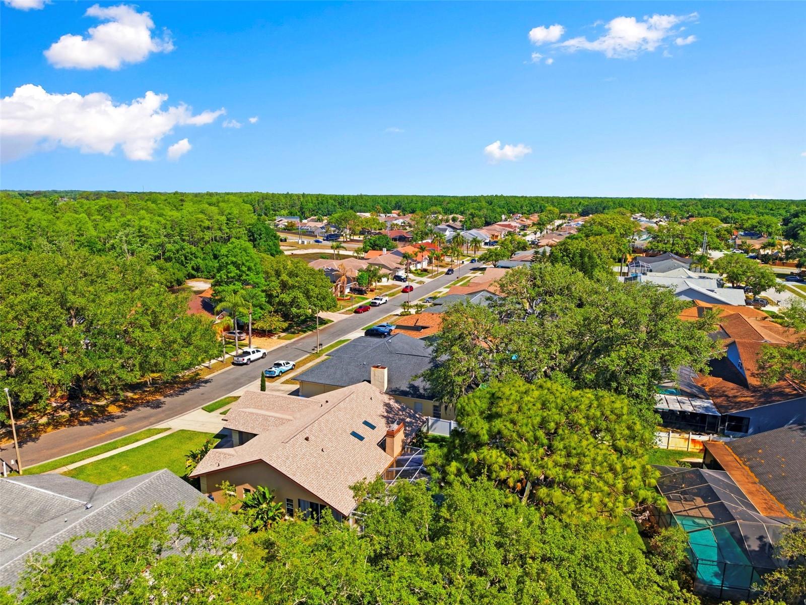 5226 SALTAMONTE DR, NEW PORT RICHEY, FL, 34655