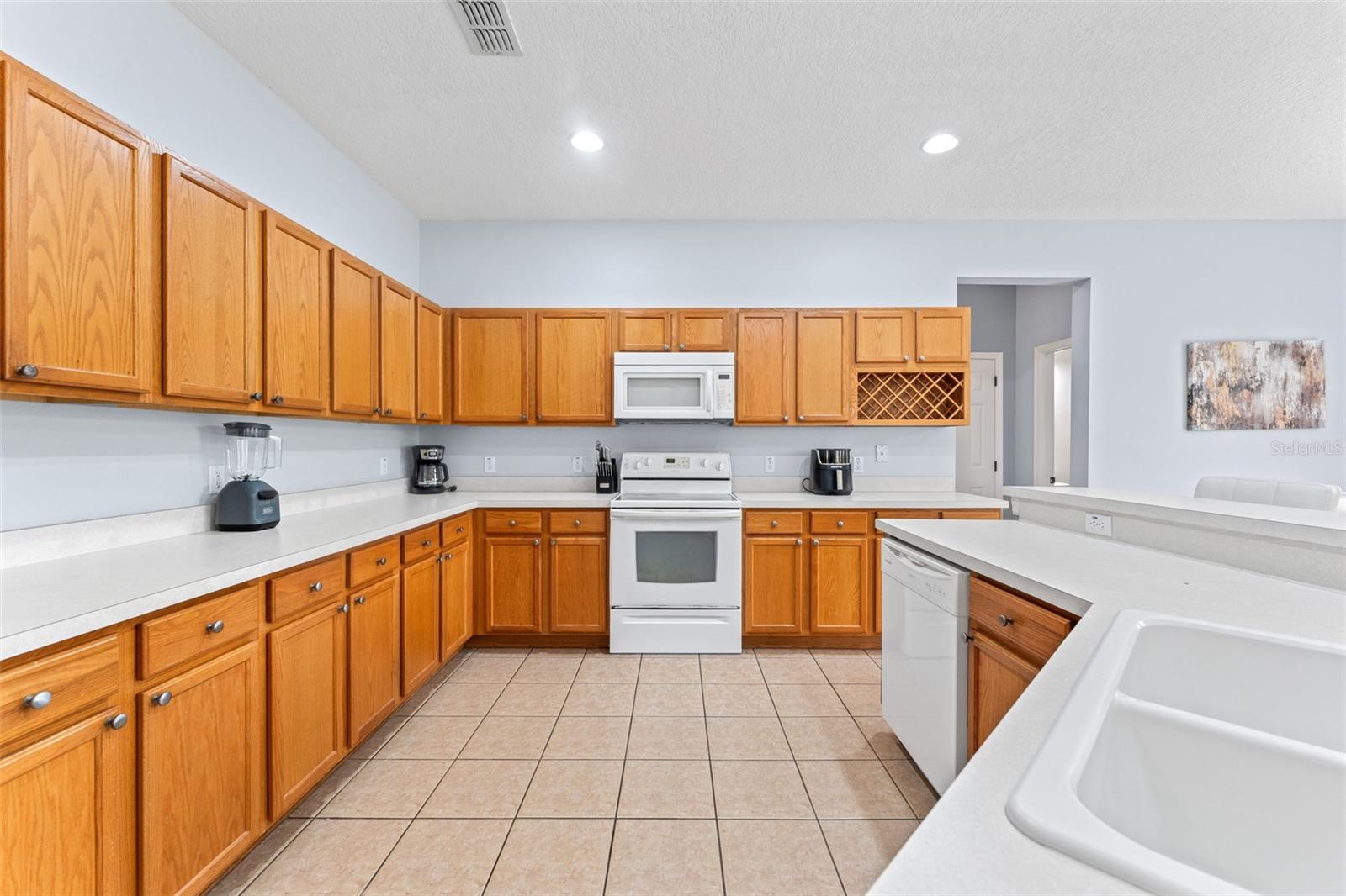 213 WILLOW VIEW DR, DAVENPORT, FL, 33896